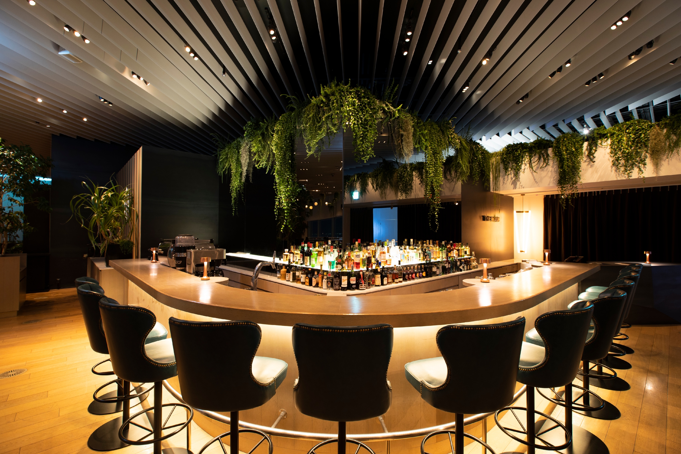 THE SUN & THE MOON Restaurant 法式料理 - 東京