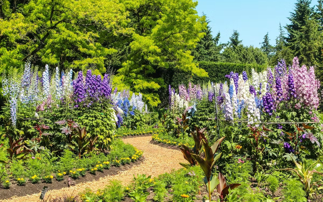 漫步於這條生機盎然的花園小徑，沉浸在大自然的繽紛懷抱中。