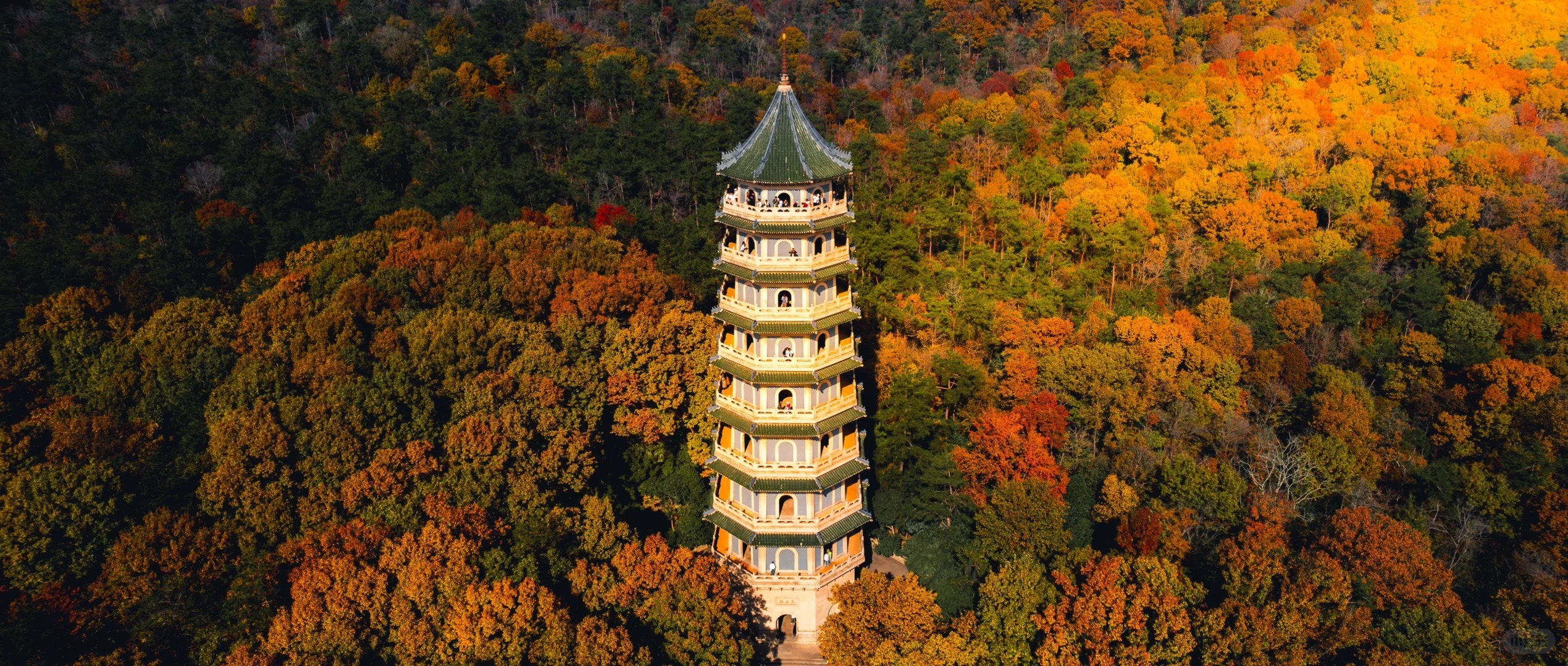 南京出發+揚州+蘇州+杭州五日跟團遊(南京集合&杭州解散+靈山大佛+夜遊烏鎮+贈送宋城千古情）