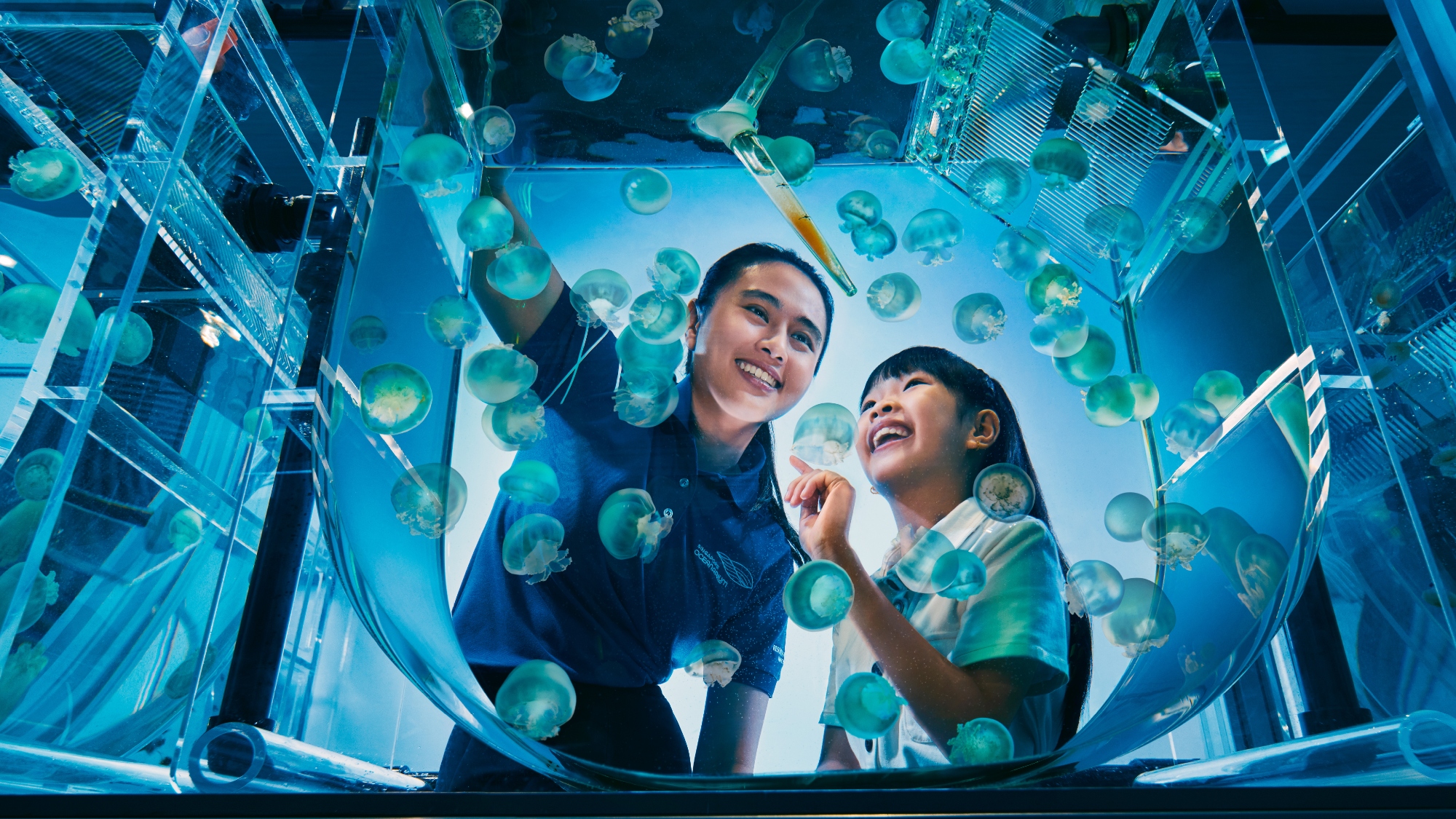 【水族實驗室】在水族實驗室近距離探索海洋奇觀