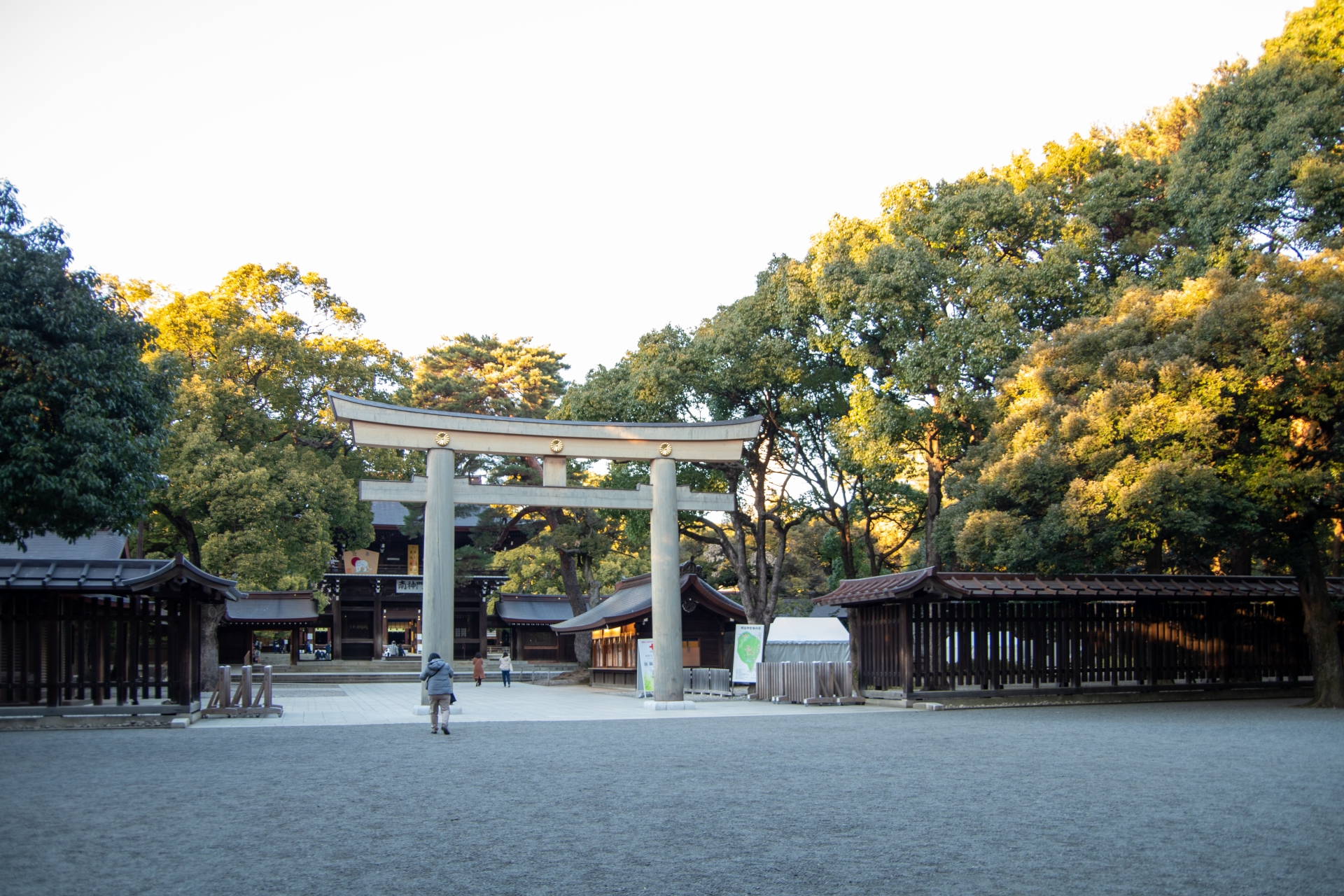 [Depart from Ueno/Tokyo] Tokyo Landmark Bus Day Tour｜Meiji Jingu Shrine & Imperial Palace & Sensoji Temple & Tokyo Bay Cruise & Odaiba (Chinese/English Tour Guide)