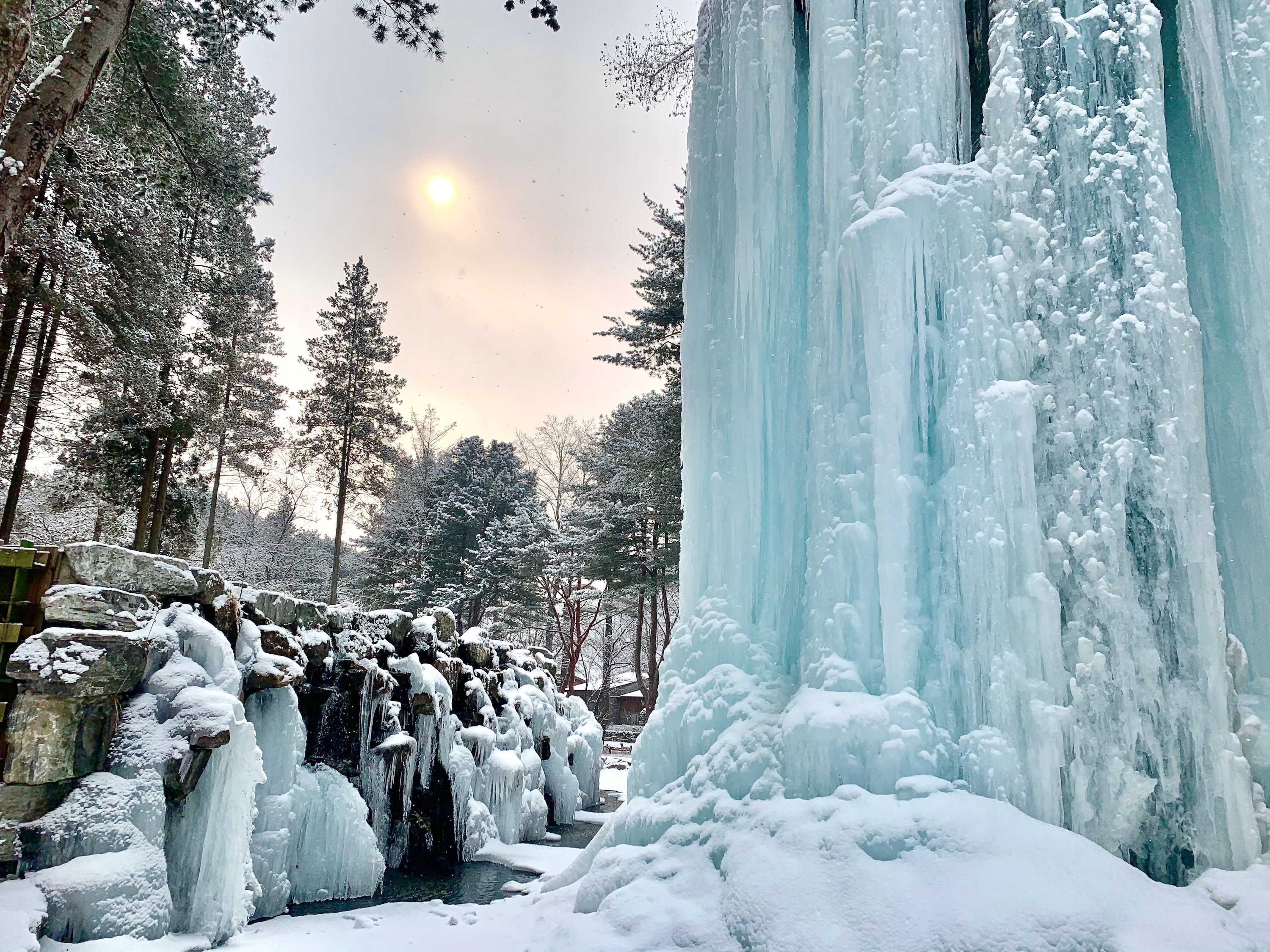 [Special Offer] Nami Island Admission Ticket