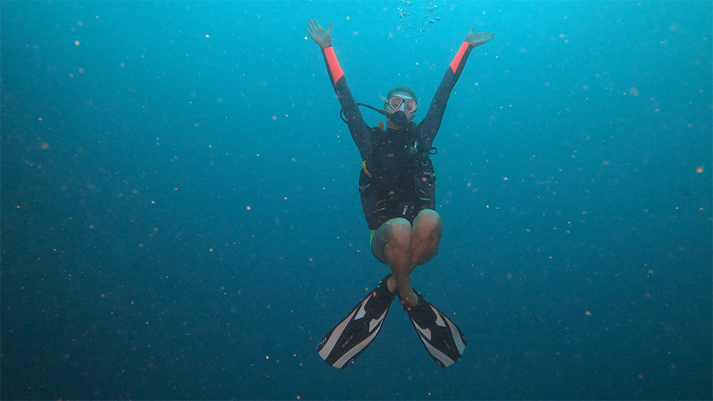 PADIオープンウォーターダイバーコース（パンガン島 / PADI 5 Star Dive Resort提供）