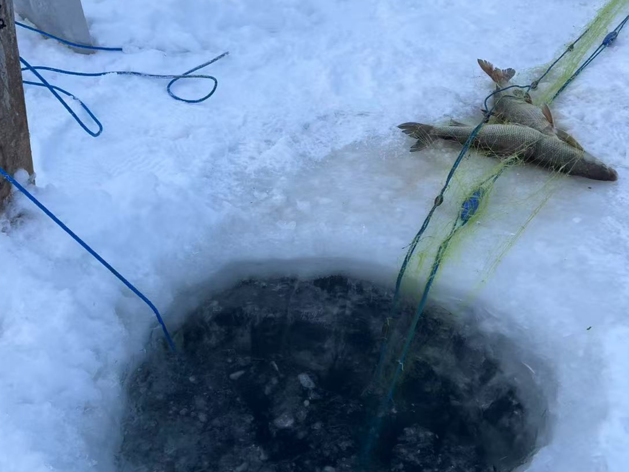 A hands-on cultural experience on the vast frozen lake