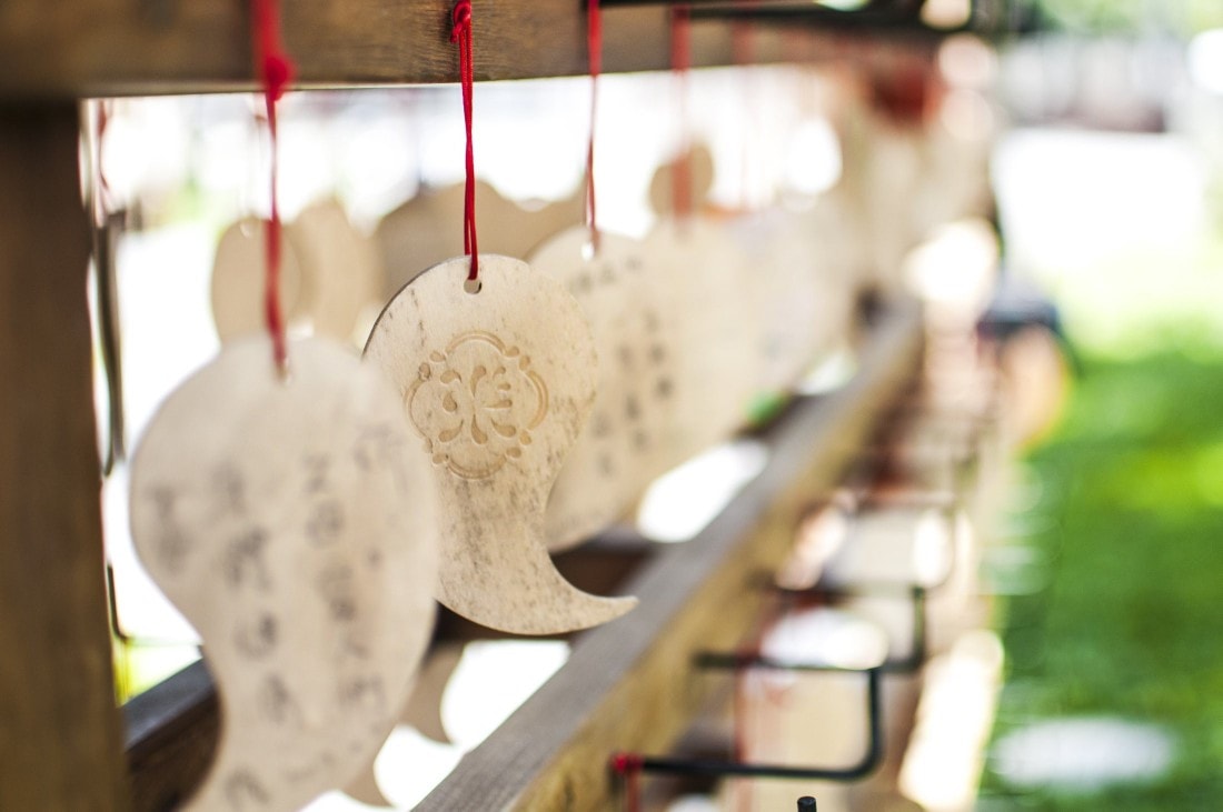選擇共乘半日遊方案,台中高鐵站出發,中間造訪鳥居 Torii 喫茶食堂,晚間再訪暗空公園 選擇共乘半日遊方案,台中高鐵站出發,中間造訪鳥居 Torii 喫茶食堂,晚間再訪暗空公園