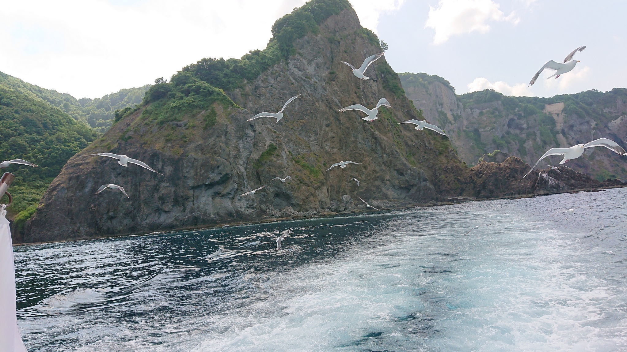 神威岬和積丹半島島武意海岸觀光 & 電視塔門票
