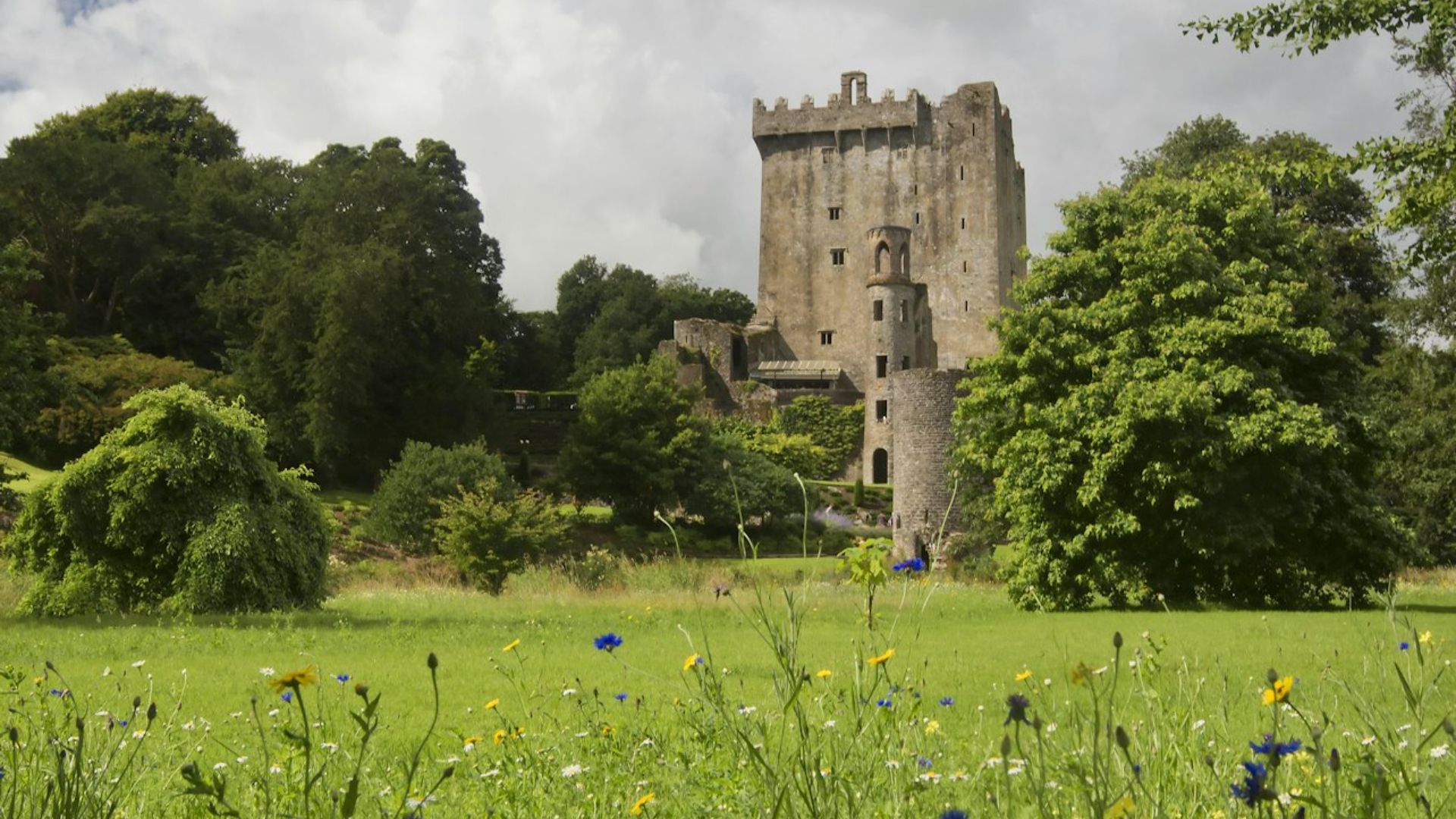 Cork, Cobh, and Blarney Castle trip from Dublin