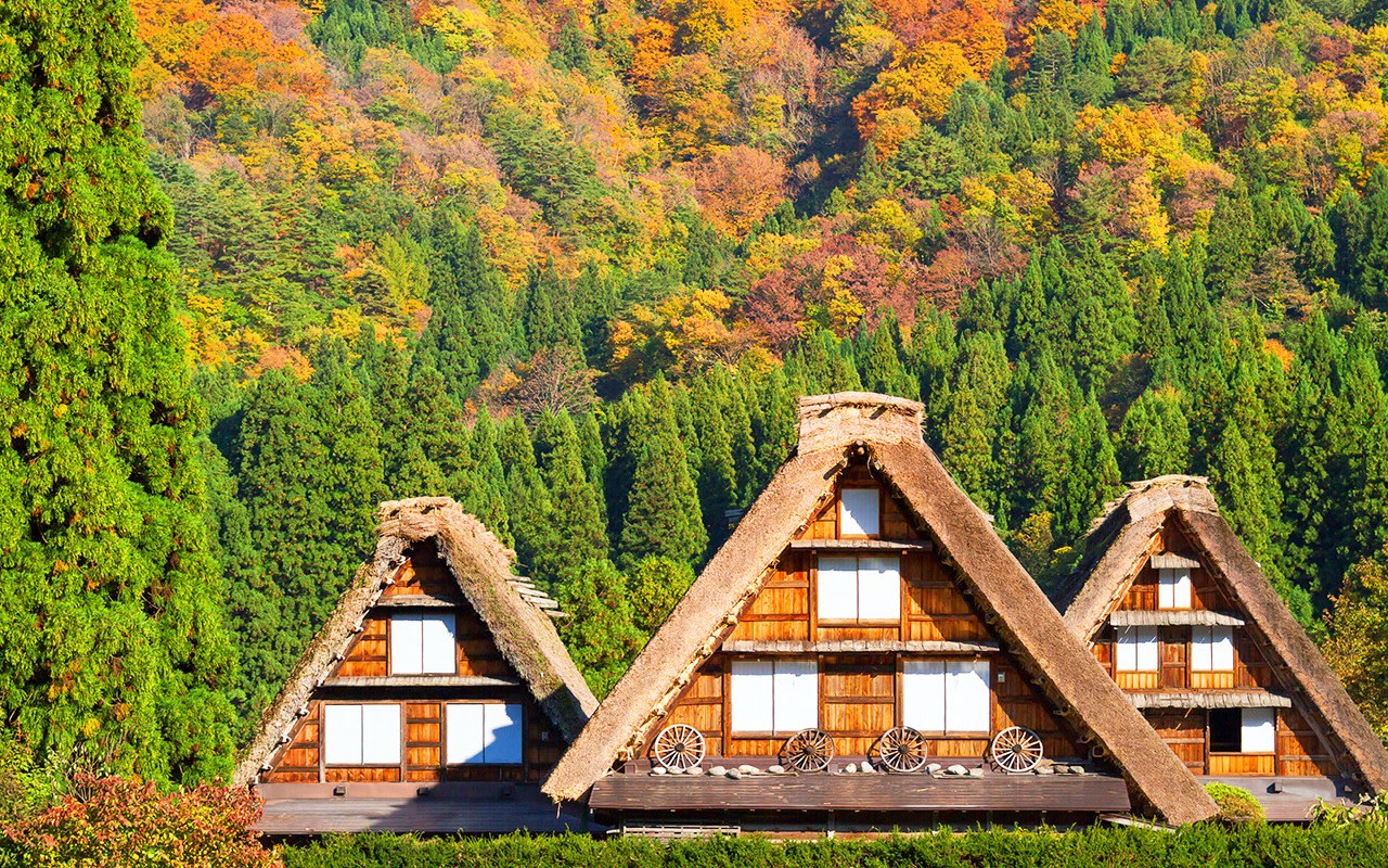 Nagoya Gifu & Shirakawa-go 2-Day Tour (Accommodation Not Included)