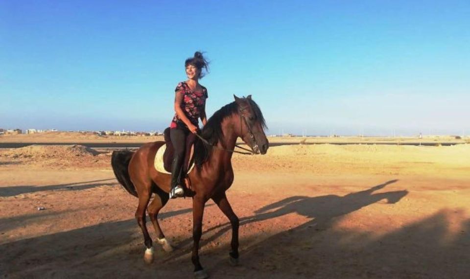 Sharm El Sheikh: Dune Buggy, Horse & Camel Ride with Breakfast