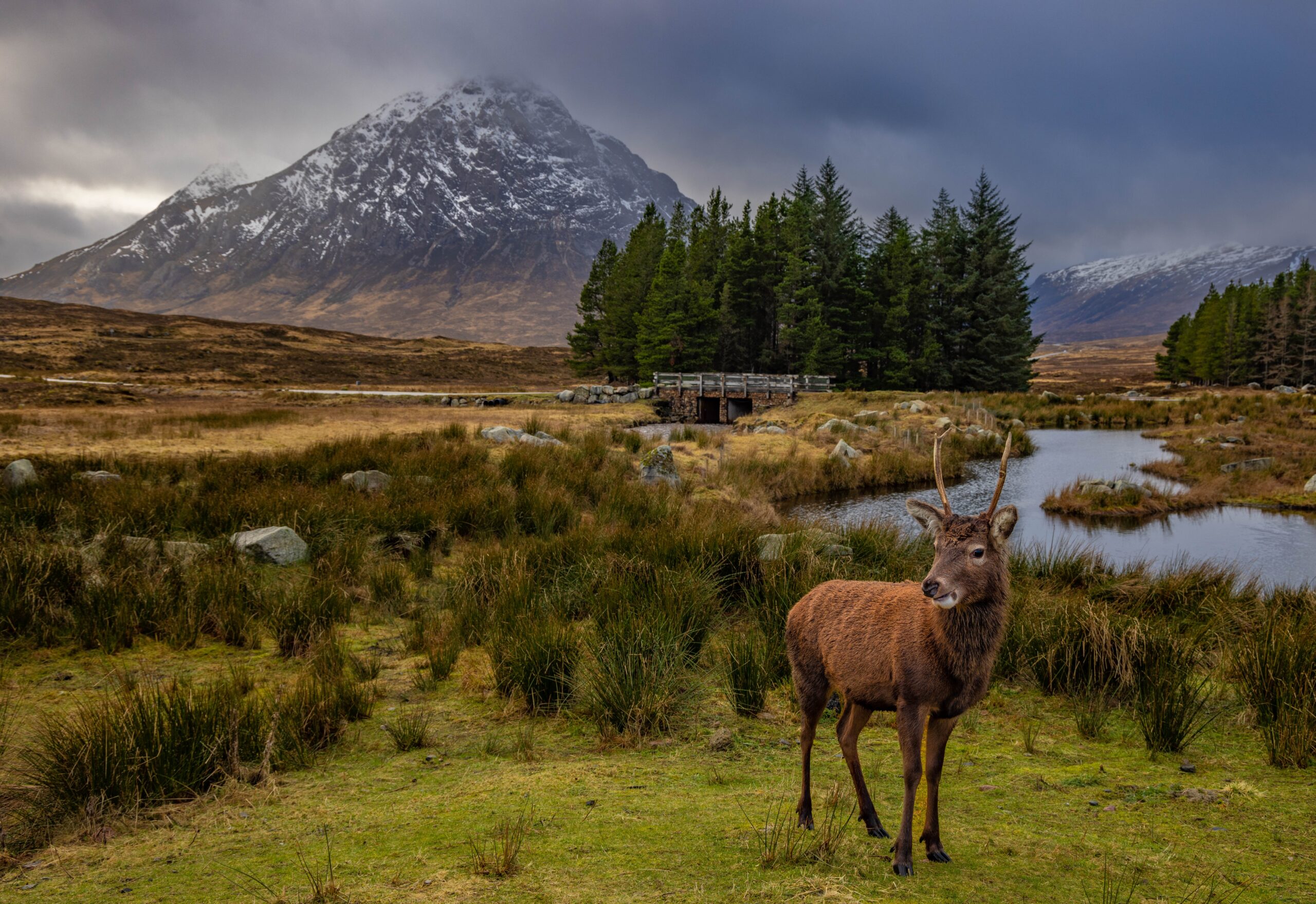 Glencoe