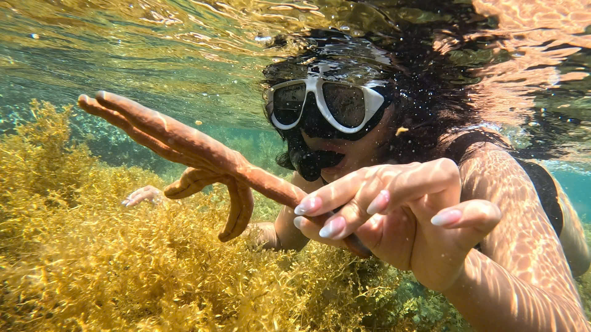 在第二個浮潛區(Hon Mot Coral Reef)欣賞珊瑚礁和海洋生物 在第二個浮潛區(Hon Mot Coral Reef)欣賞珊瑚礁和海洋生物