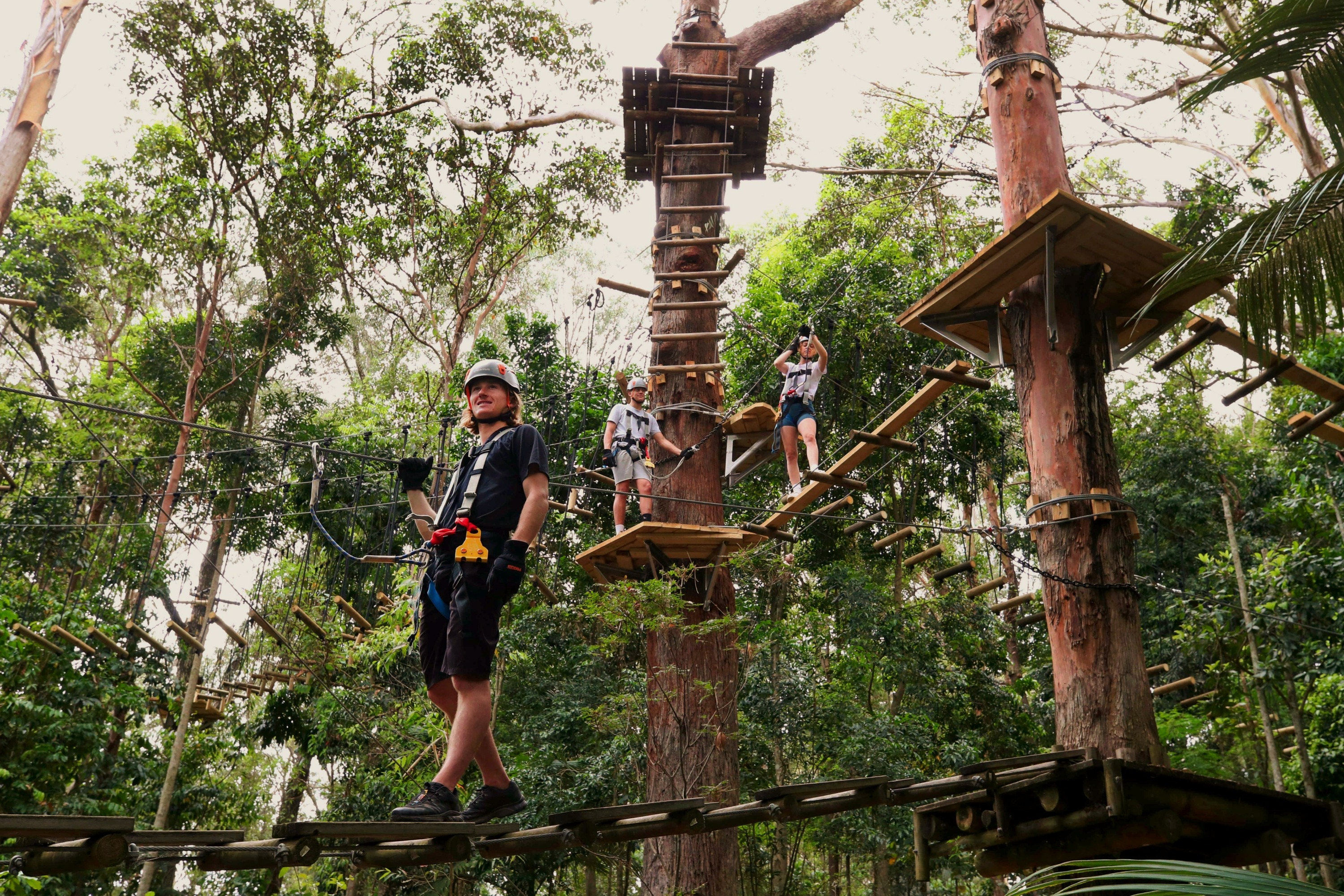 TreeTop Challenge at Currumbin Wildlife Sanctuary 