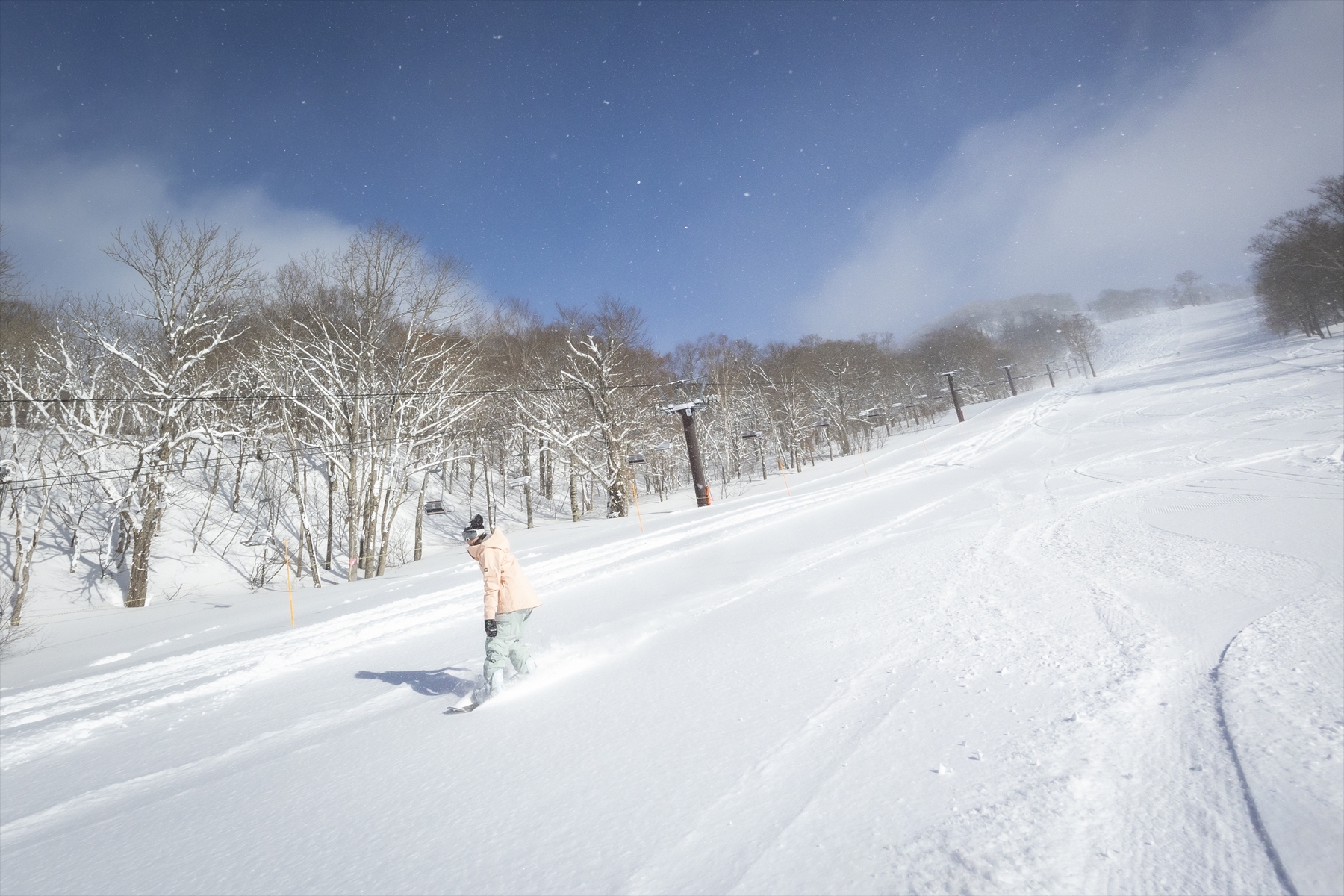Tambara滑雪公園一日遊（東京出發）