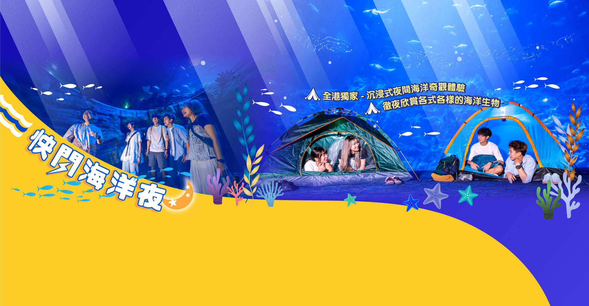Ночная экскурсия в океанариум Ocean Park Гонконга