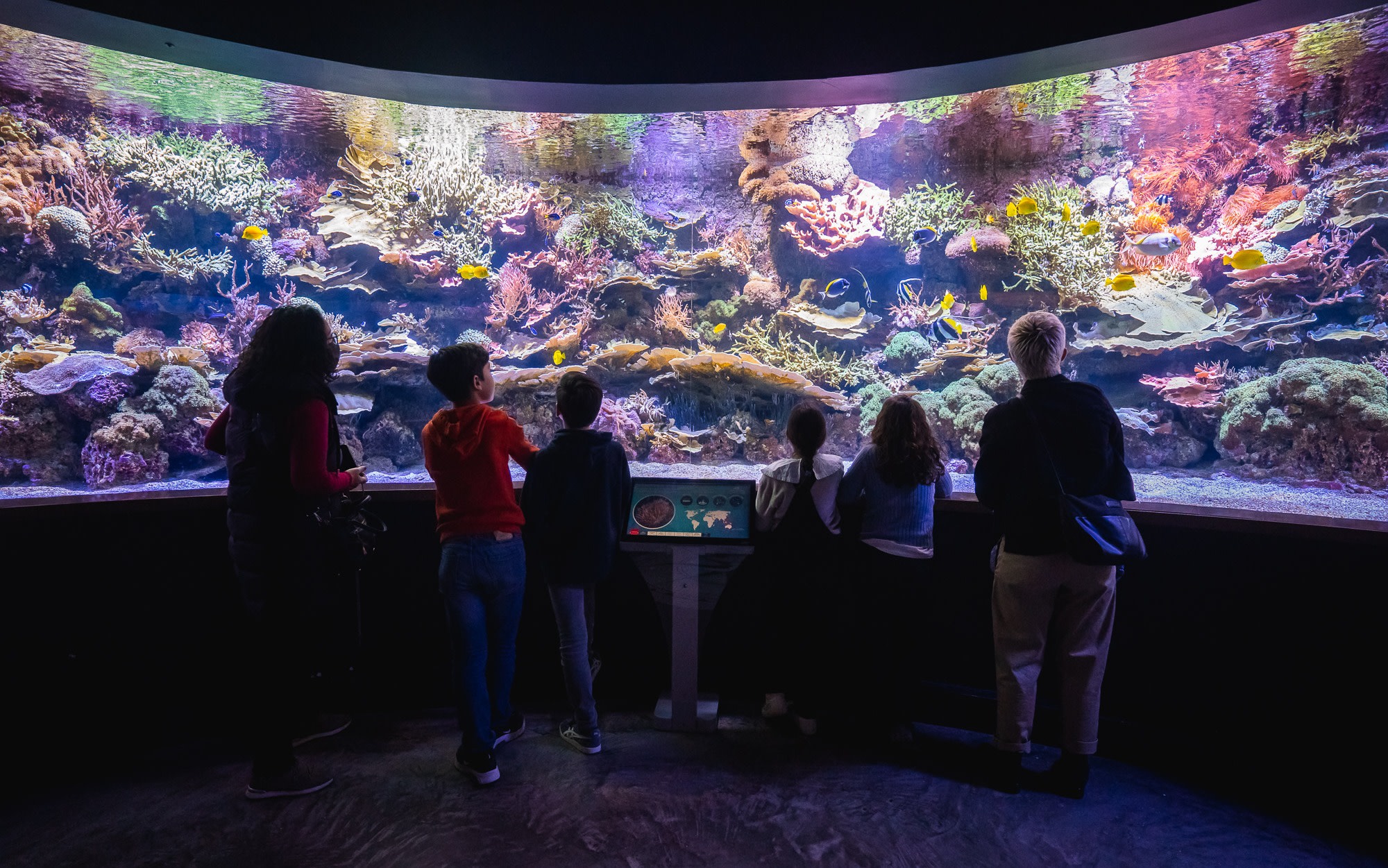 Seville Aquarium Ticket in Spain