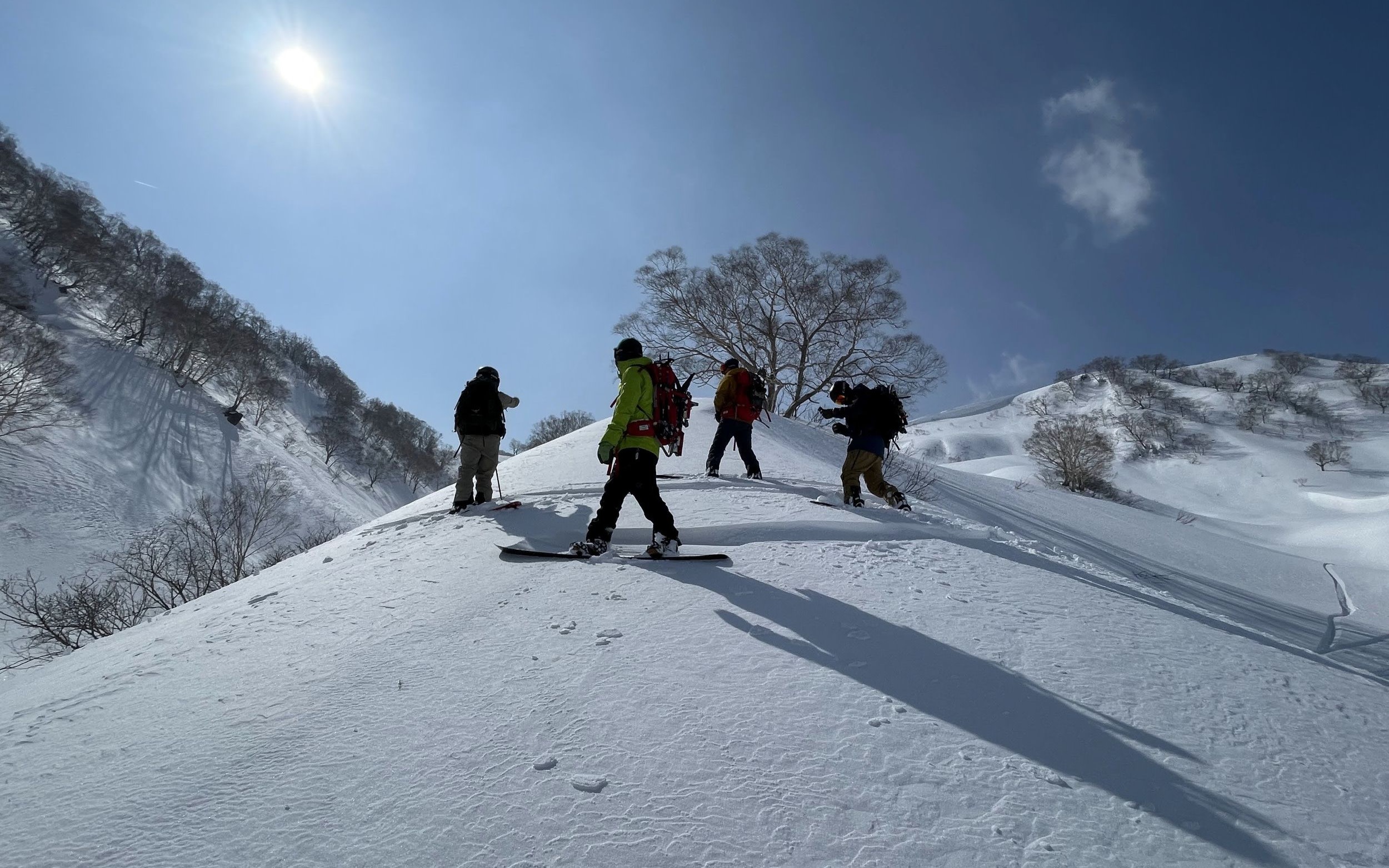 Hakuba Private Ski & Snowboard Tour - Custom Day Trip