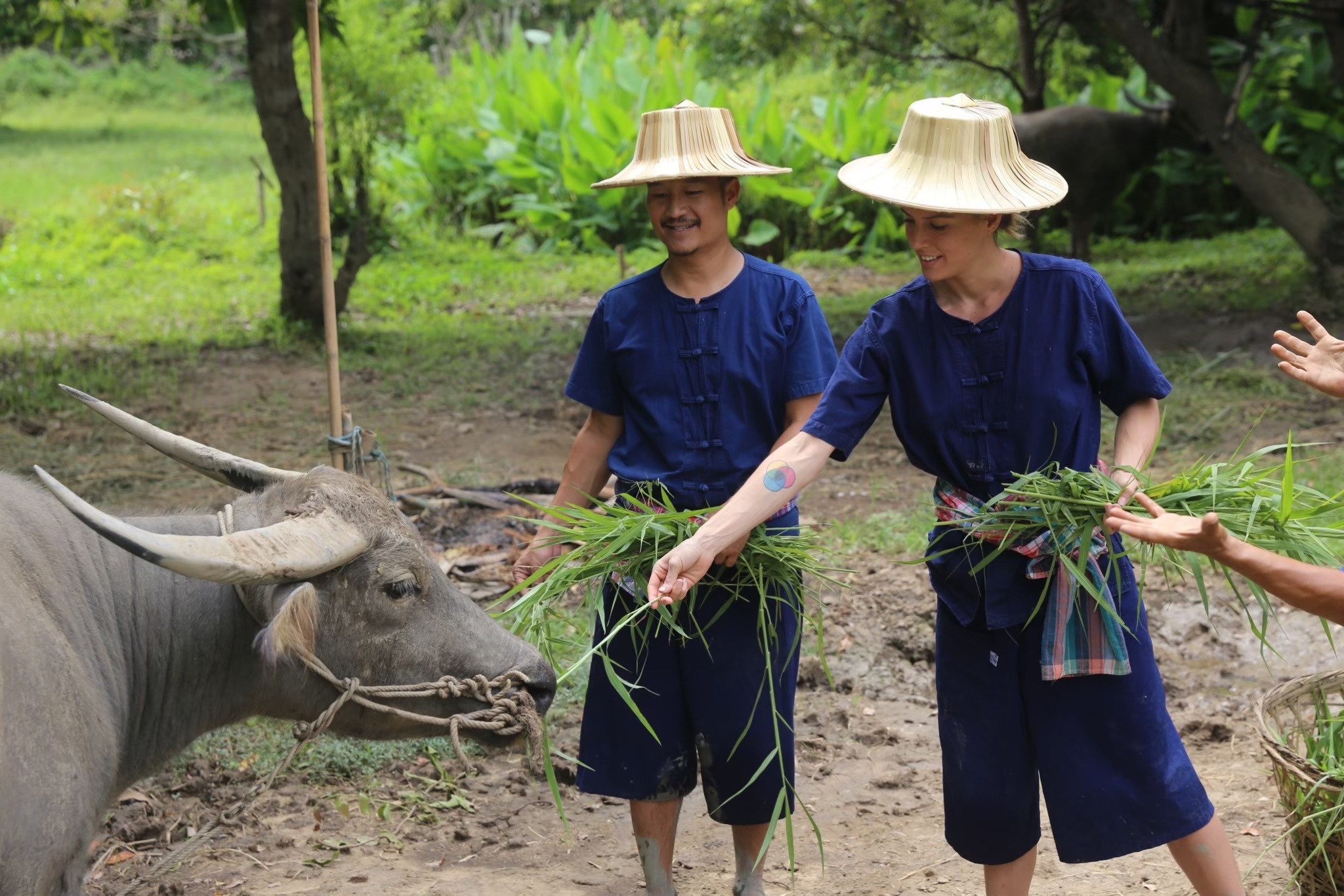 Experience as a local farmer Chiang Mai Thailand