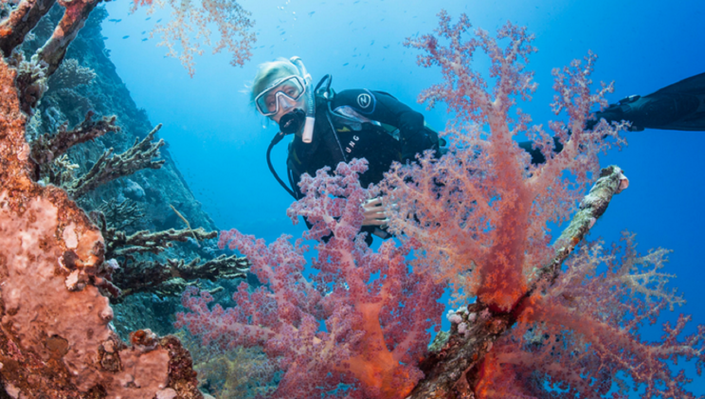 長灘島 PADI 潛水中心初學者潛水課程