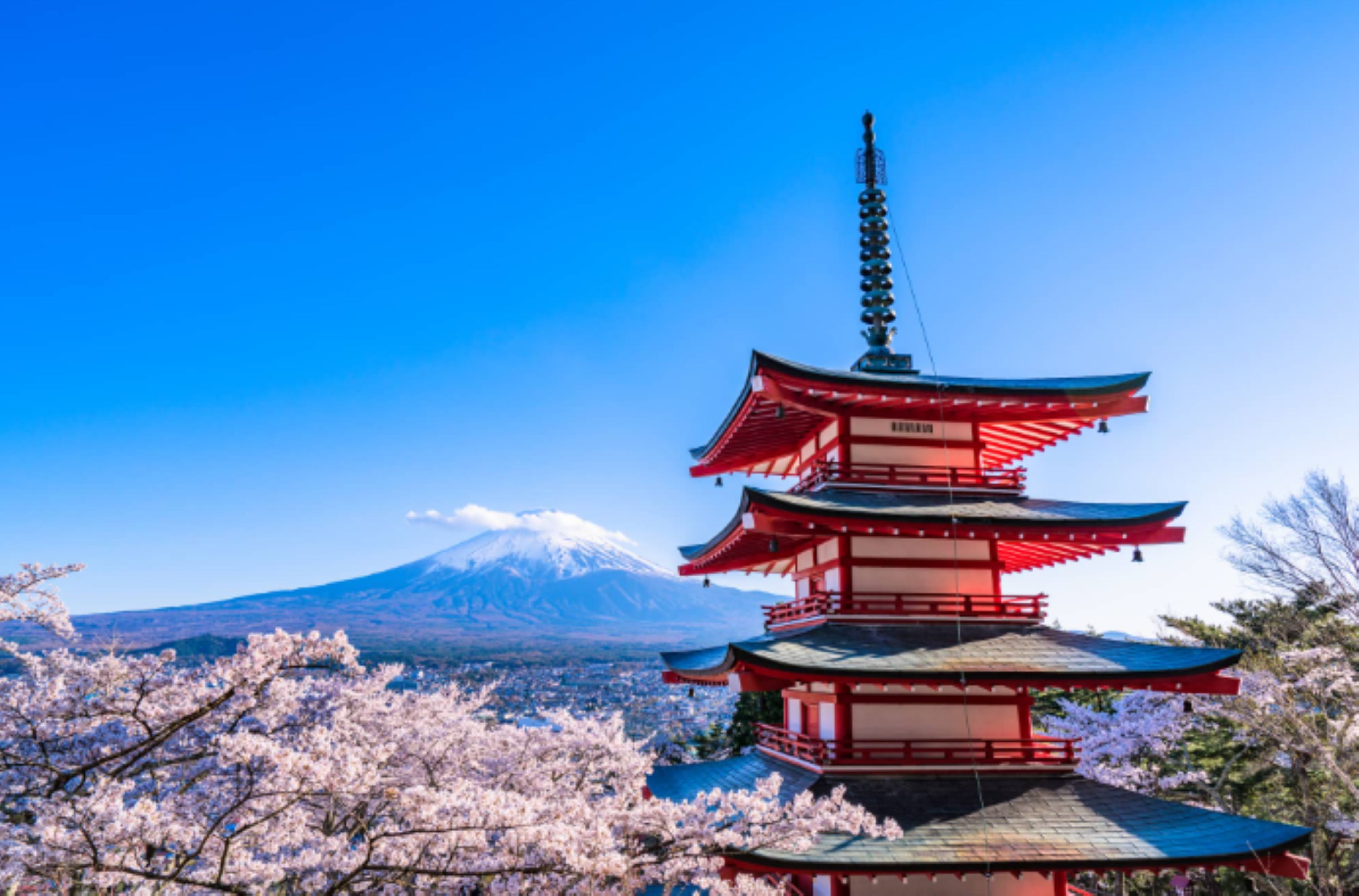 Mt. Fuji Day Tour: Shinkura, Oshino Hakkai, Oishi Park & Lawson