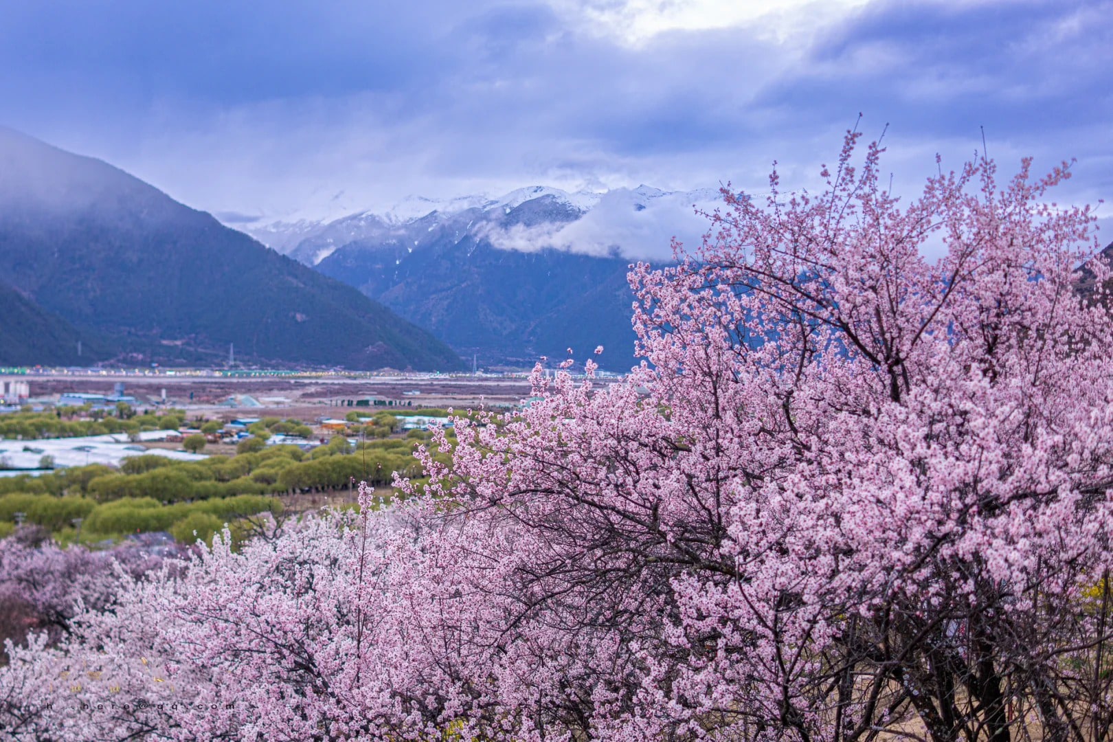 西藏林芝桃花高奢6日（南迦巴瓦日照金山酒店&平措康桑雪裡桃花度假莊園+五星&悅皇冠度假+波密桃花谷+嘎拉桃花村+索松村+來古冰川）