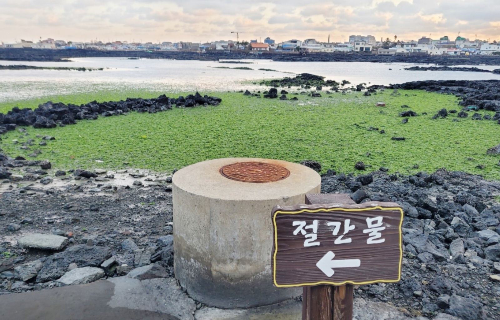 《我們的藍調》濟州島拍攝地 & 熱門景點私人遊