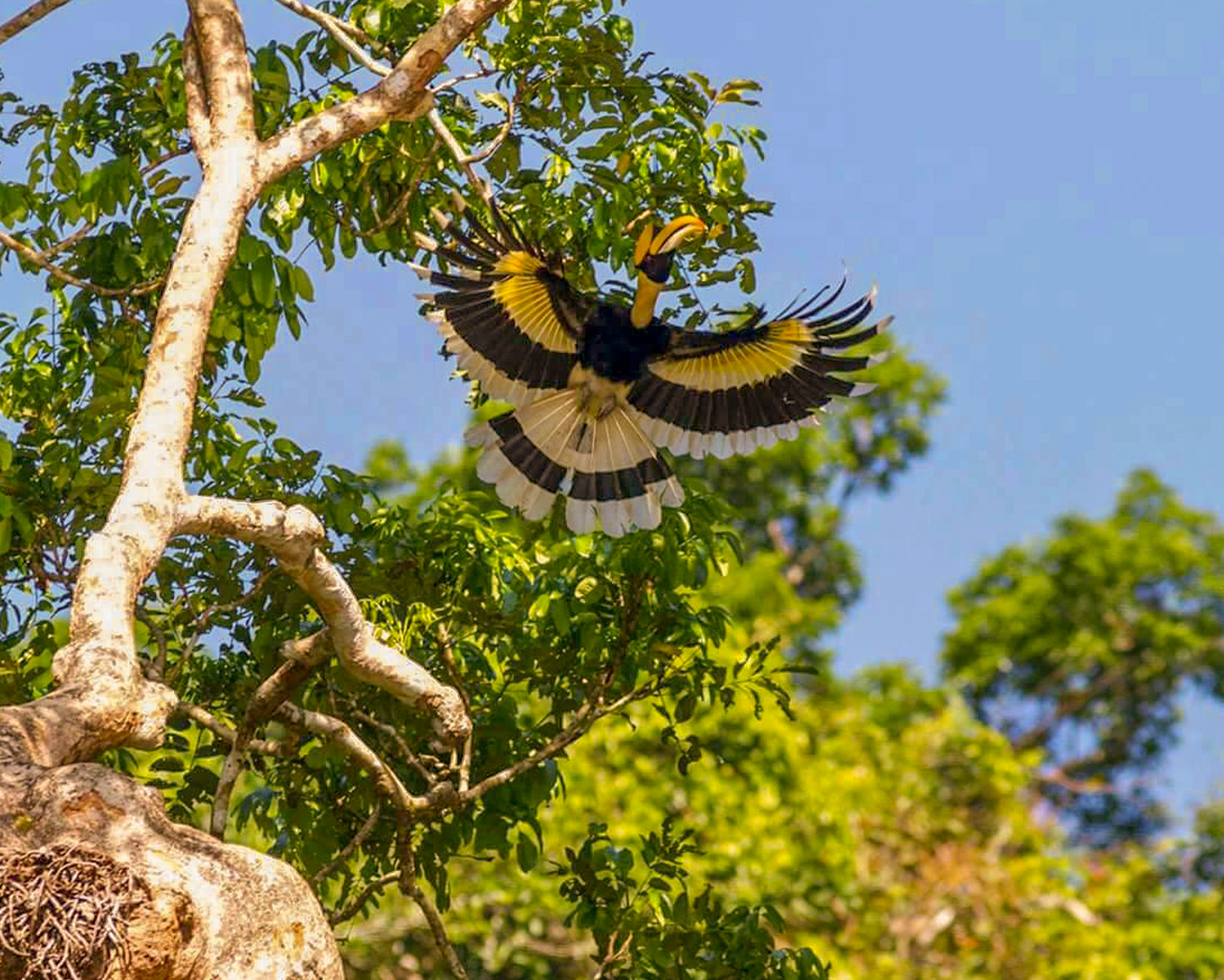 The following day, kick off your adventure with an invigorating bird-watching activity, immersing yourself in the natural wonders that await.