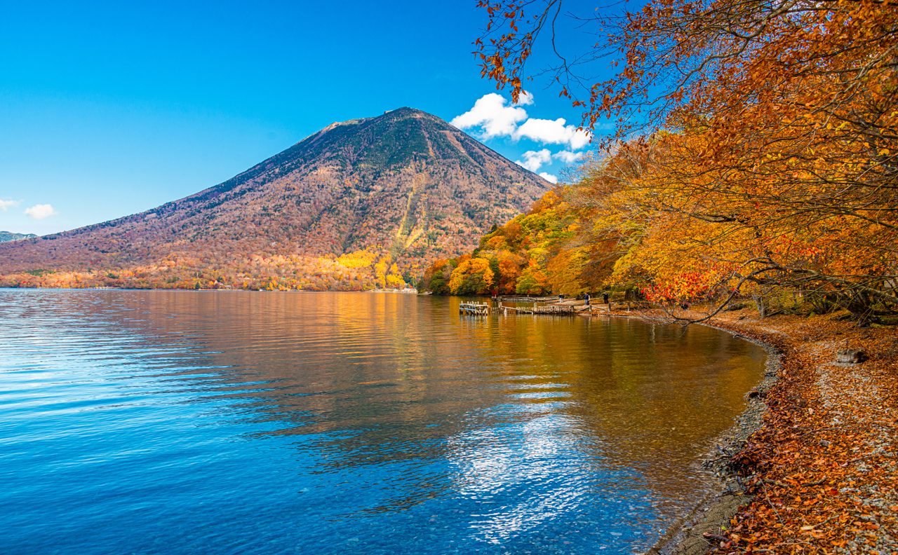 Tochigi and Nikko's secret mountain and water area｜Toshogu Shrine, Iroha Mountain Trail, Lake Chuzenji, and Kegon Falls Day Tour｜Depart from Tokyo/Shinjuku