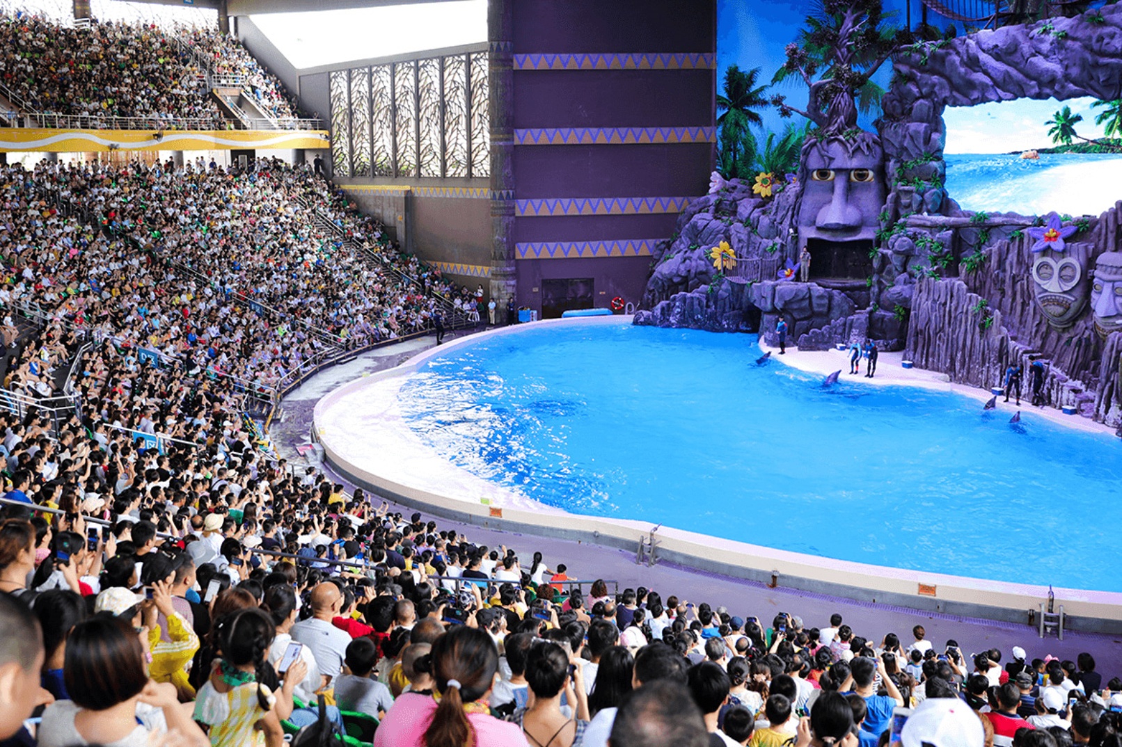 「海豚劇場」可容納近6,000位觀眾,每次表演均由有多條海豚同臺演出,與一眾演員和訓練員共同演繹動人的音樂劇,體現人和動物的和諧共處,絕對是「海洋王國」必看的表演。 「海豚劇場」可容納近6,000位觀眾,每次表演均由有多條海豚同臺演出,與一眾演員和訓練員共同演繹動人的音樂劇,體現人和動物的和諧共處,絕對是「海洋王國」必看的表演。