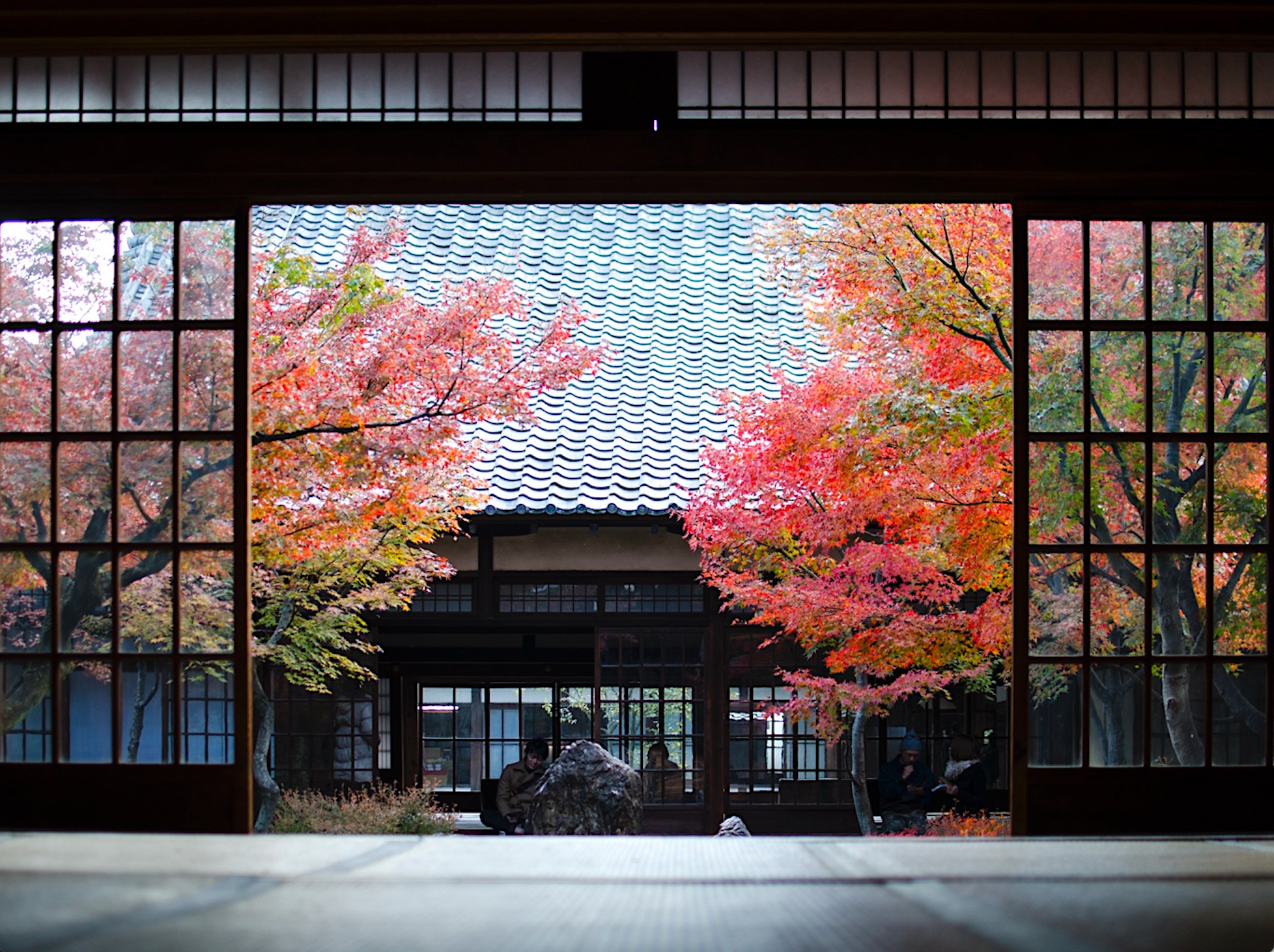 探索日本建仁寺庭園的恆久之美。