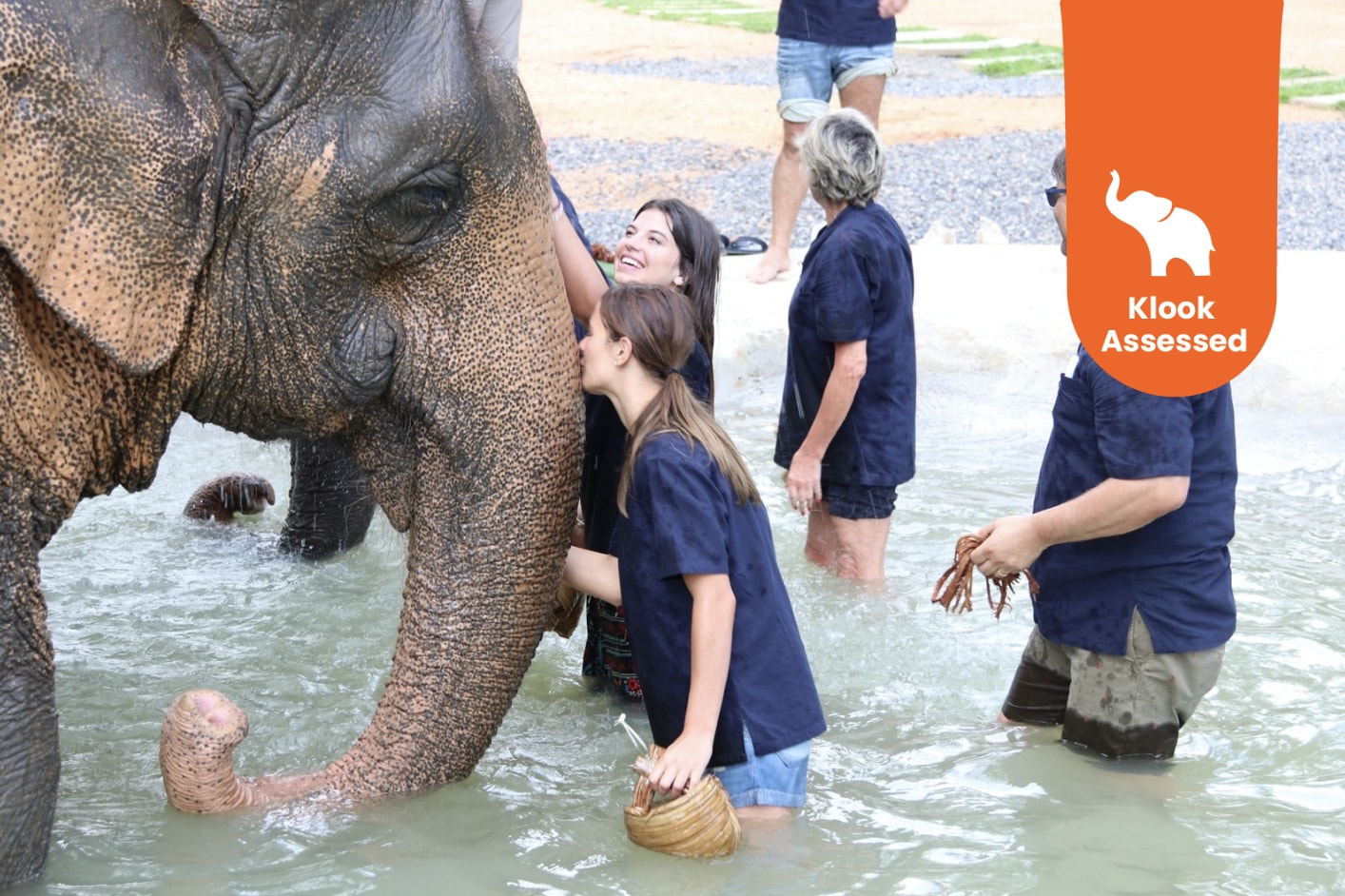 Half Day Caring Elephant in Samui