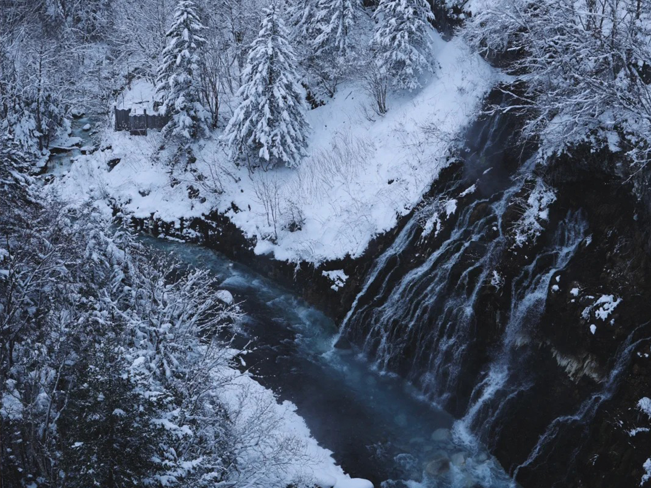 Hokkaido Seasonal Limited: Asahiyama Zoo, Furano, Blue Pond, Shirahige Falls, and Ningle Terrace Day Trip