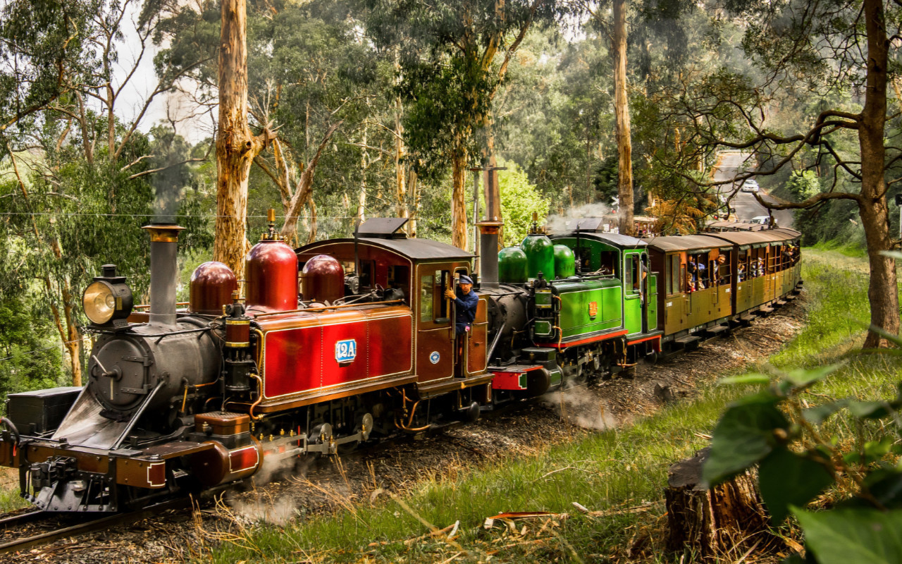 Puffing Billy, Forest Trails & Yarra Valley Discovery Tour