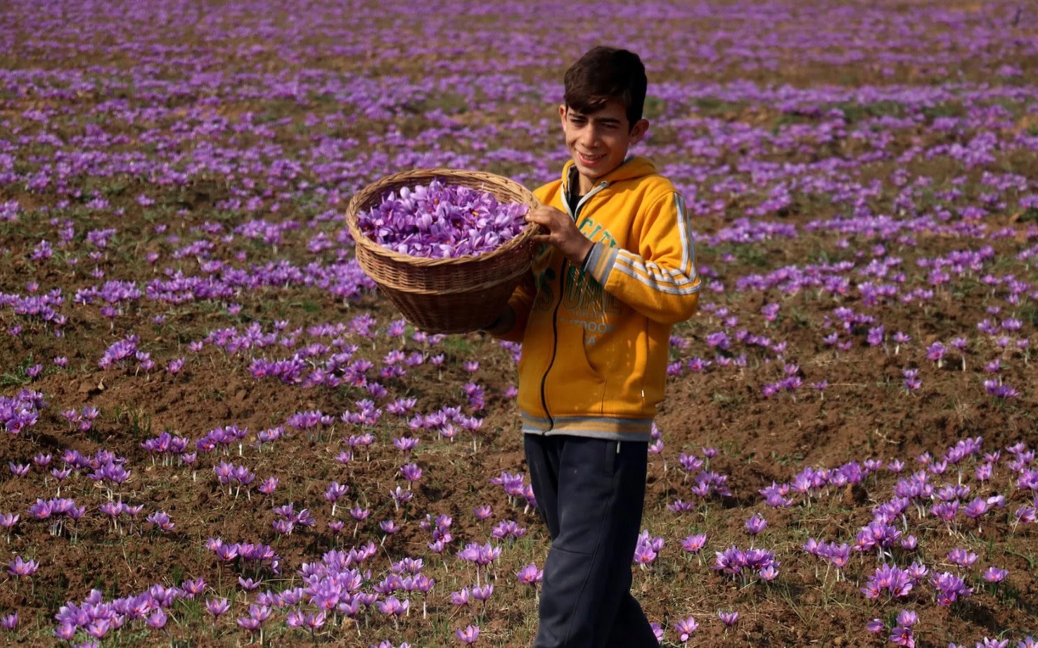 From Srinagar: Pahalgam Day Trip with Saffron Farm & Apple Valley