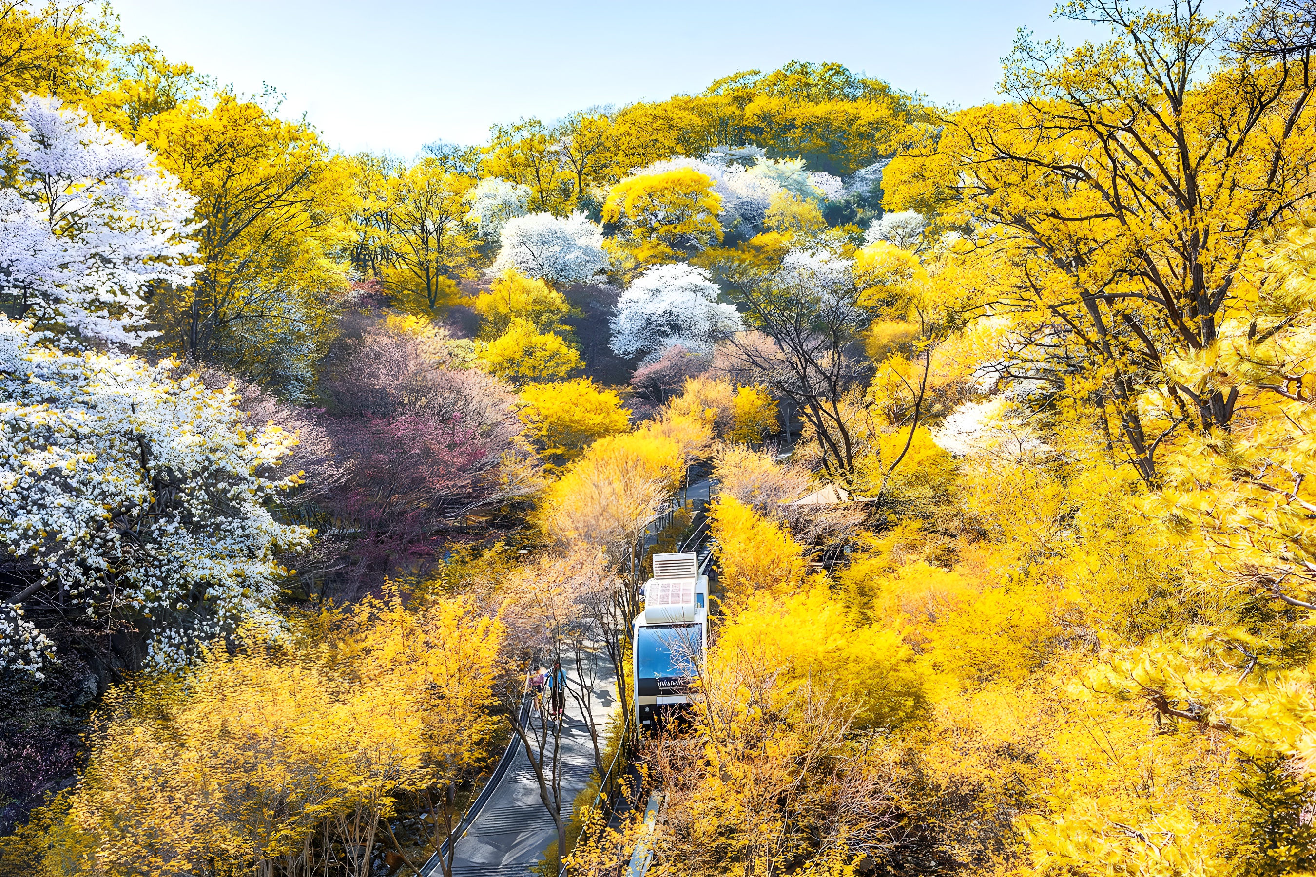 和談林植物園 & 南漢山城 & 民俗村一日遊