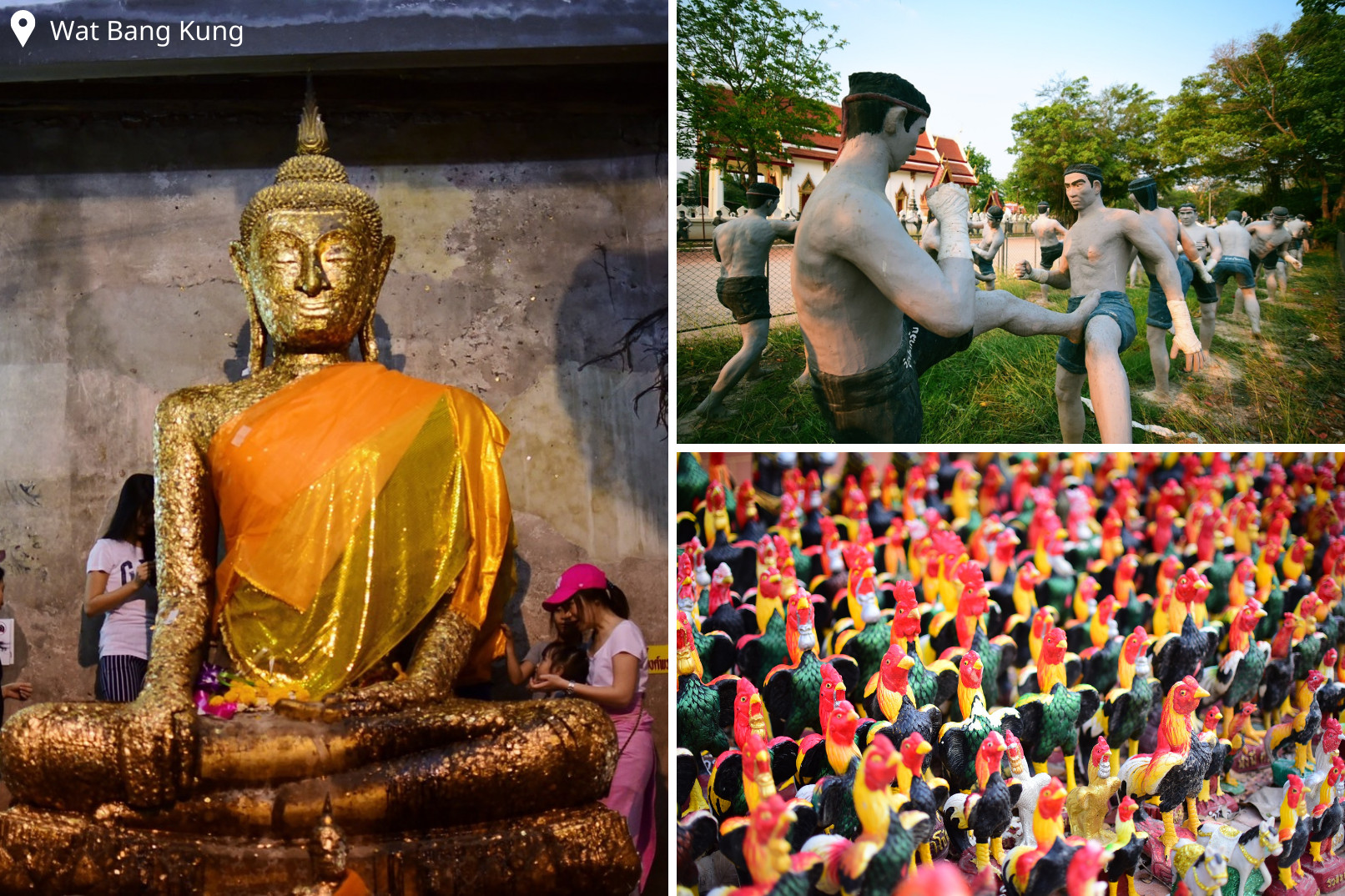 Explore the famous Wat Bang Kung, a temple in a banyan tree