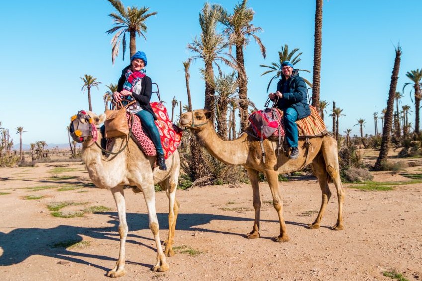 마라케시 사막 쿼드바이크 & 단봉 낙타 체험