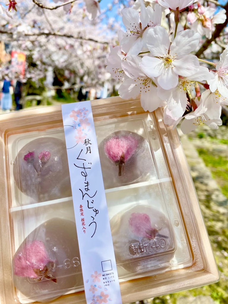 除了賞櫻美景，城下町內也聚集多家傳統和菓子店與特色咖啡館，旅客可自由散策🌿