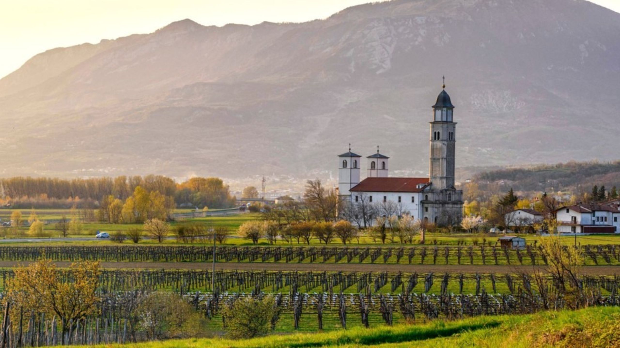 Vipava Valley half-day wine tasting tour from Ljubljana