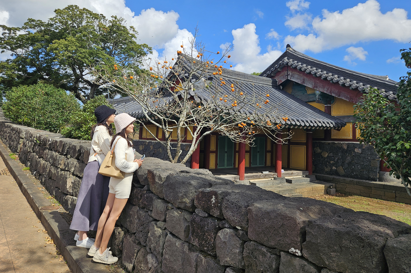 漫步於城邑民俗村，感受靜謐的石牆與傳統老屋交織而成的獨特氛圍，沉浸在濟州古老而永恆的魅力之中。