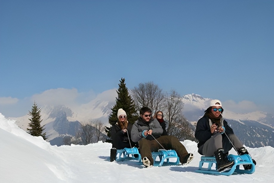 Day Sledding Experience from Interlaken