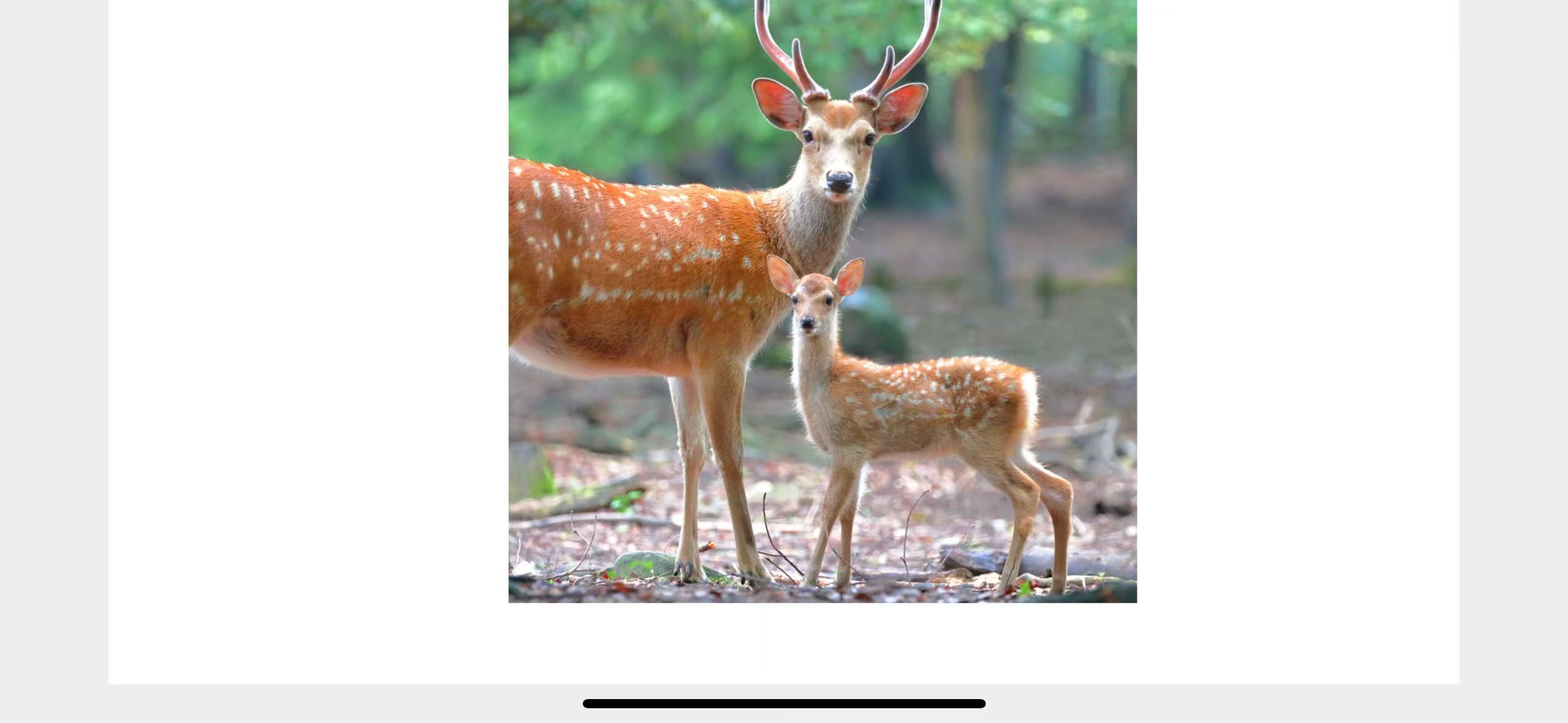 2-day Kansai Expo/Osaka, Kyoto, Nara, Uji tour - Small group private tour
