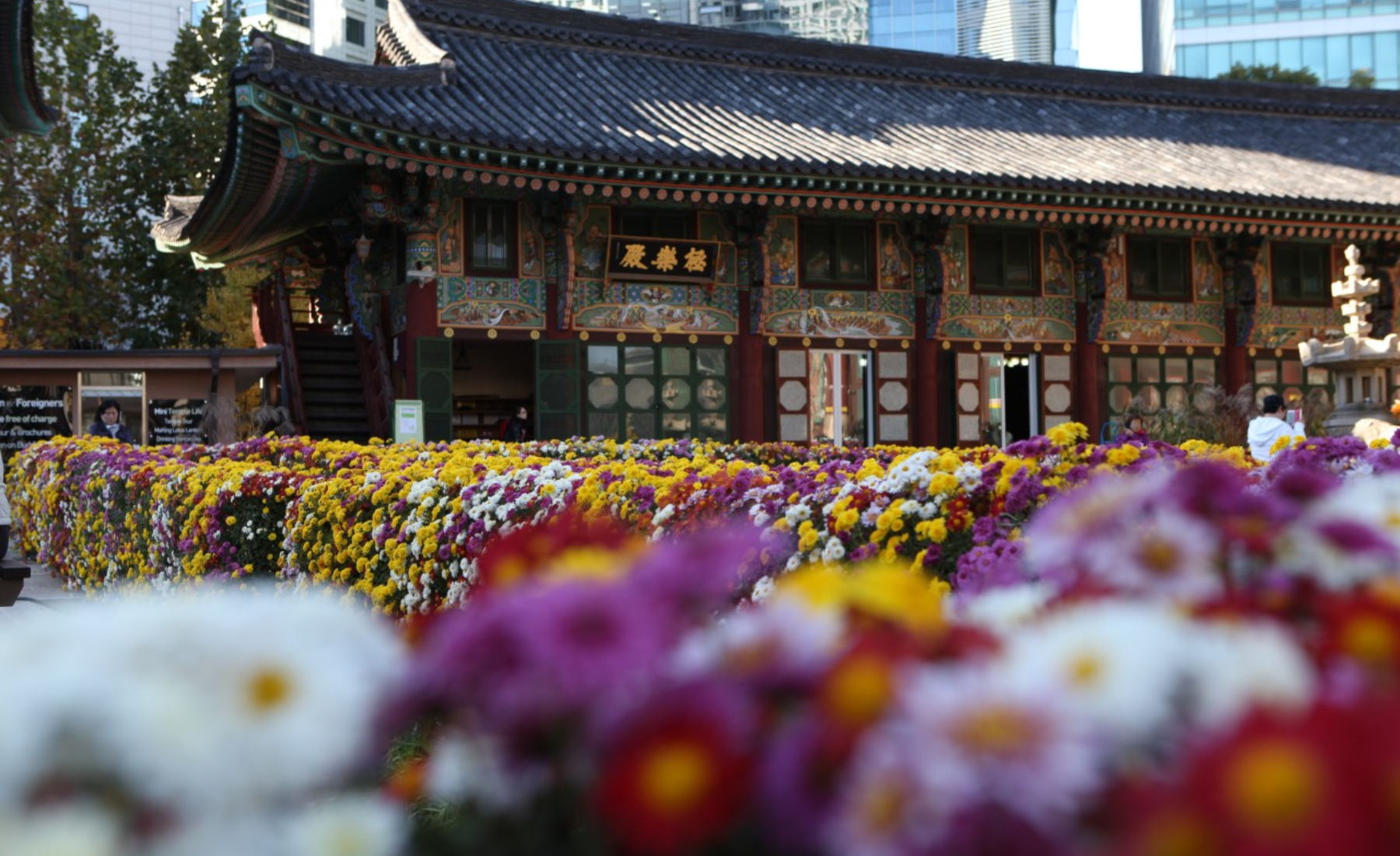 [Seoul] Jongno Heritage: Jongmyo(UNESCO), Jogyesa & Ikseon