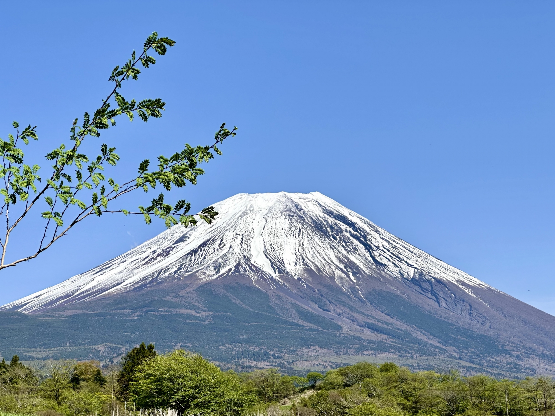富士山九合目萬年雪山莊，1晚住宿