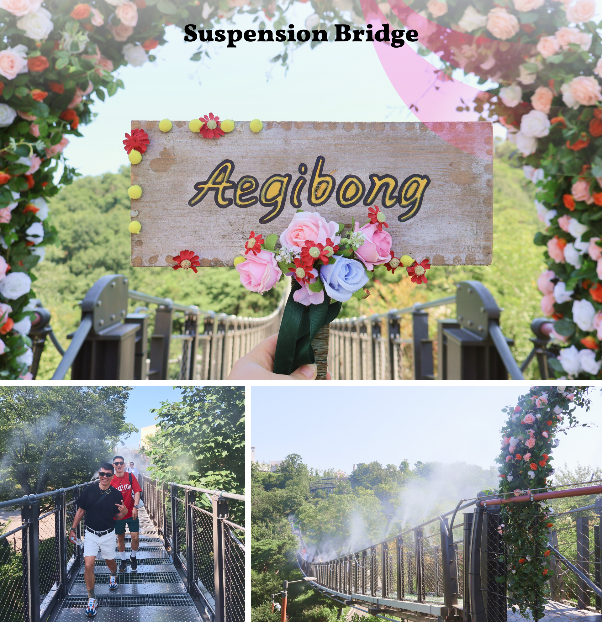 走過愛妓峰和平生態公園 (Aegibong Peace Eco Park) 內的吊橋，感受刺激快感！這裡可是不容錯過的拍照打卡點！