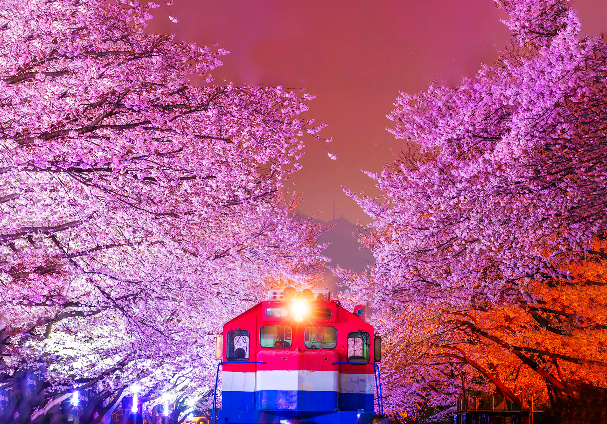 夜間慶典更添魅力,點亮的小徑、悠揚的音樂,以及寧靜的氛圍,讓這裡成為夜晚漫步、拍照留念,甚至在星空下輕鬆暢談的完美時刻。🌟 夜間慶典更添魅力,點亮的小徑、悠揚的音樂,以及寧靜的氛圍,讓這裡成為夜晚漫步、拍照留念,甚至在星空下輕鬆暢談的完美時刻。🌟