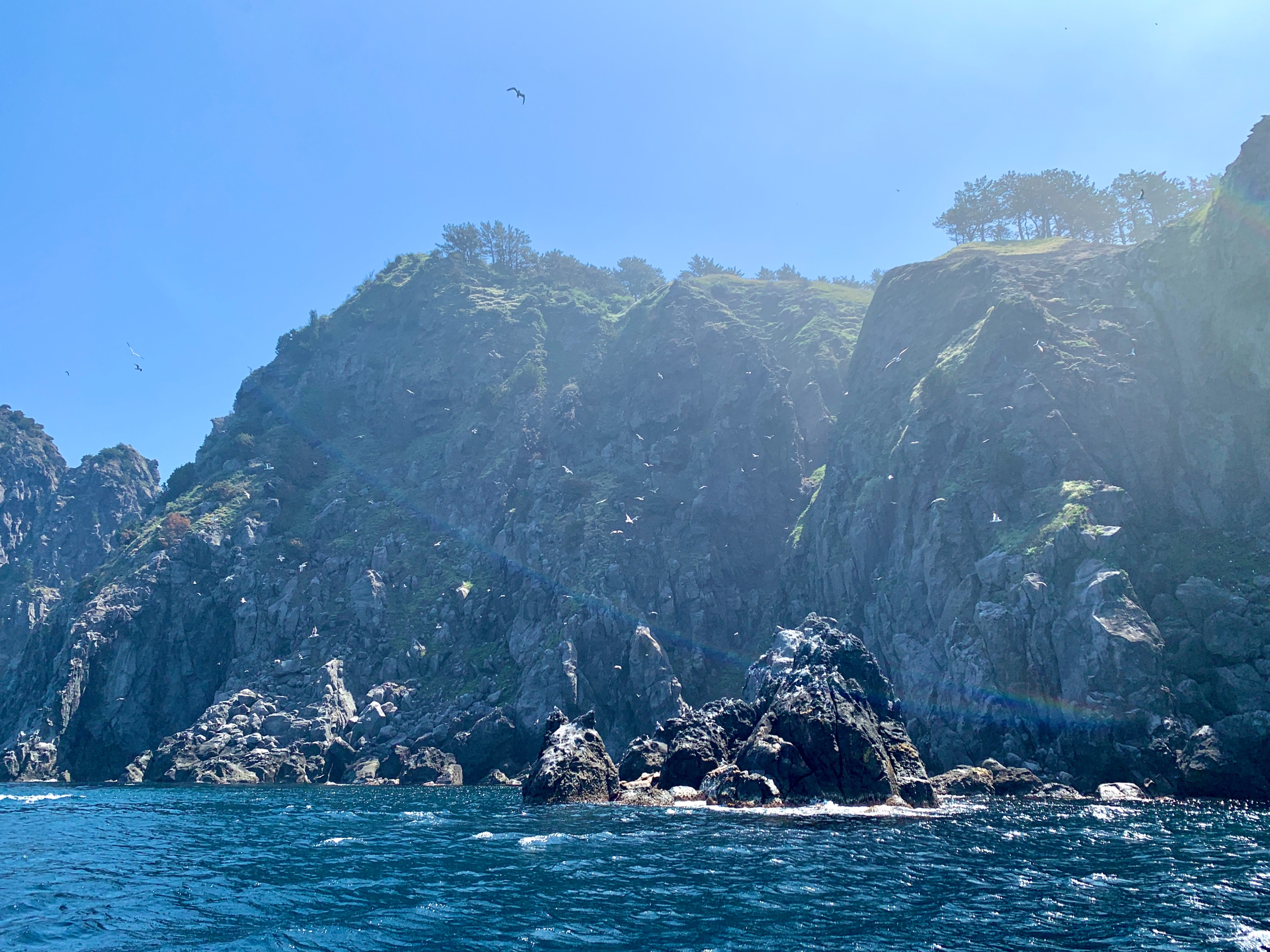 鬱陵島黑浦海灘 黑浦潛水度假村乘船遊覽