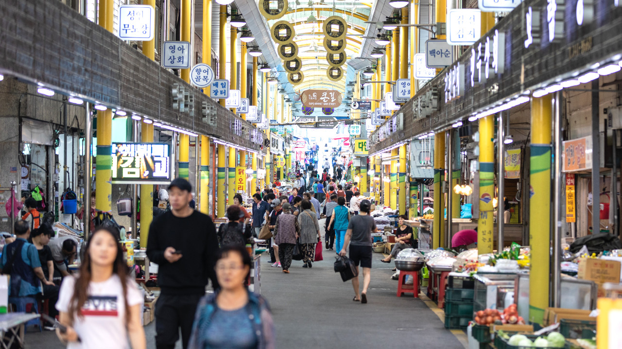 Busan Local Market & Riverside Park Full-Day Small Group Tour