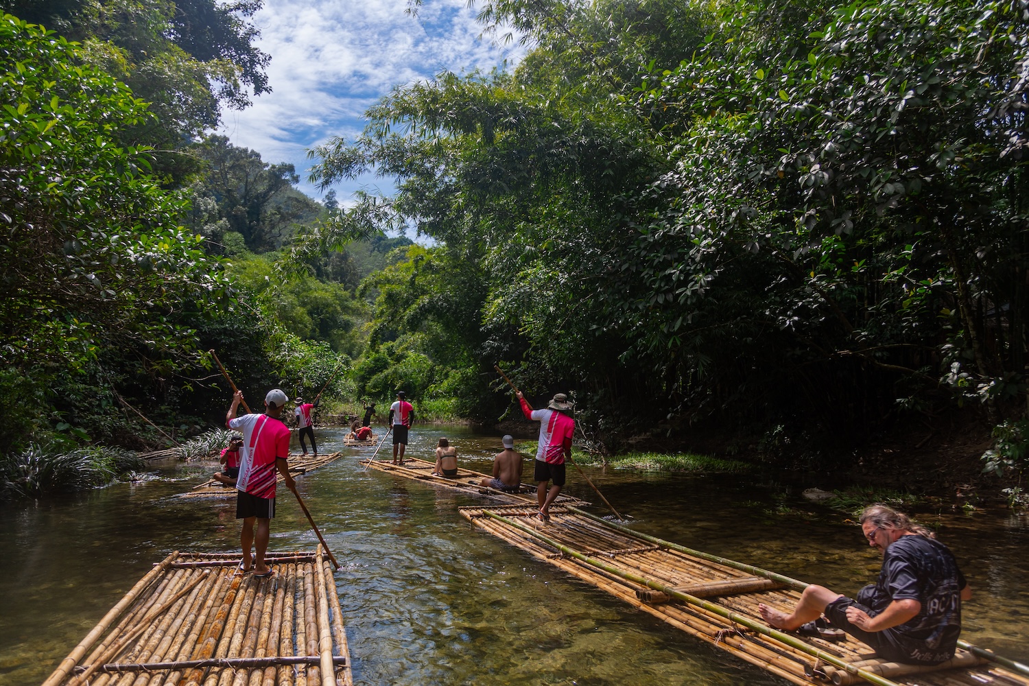 Elephant & Nature Combos