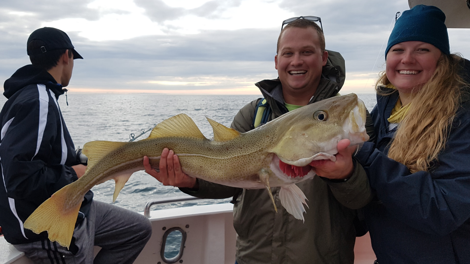 Reykjavik Faxaflói Bay 2.5-Hour Small Group Fishing Tour