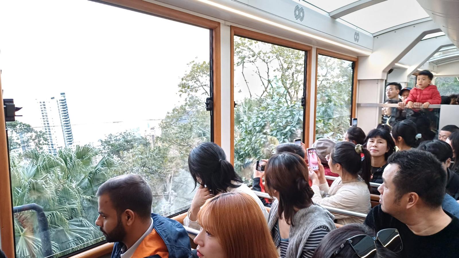 香港精彩山頂、維港及市區夜遊 | 含山頂纜車、天星小輪單程票